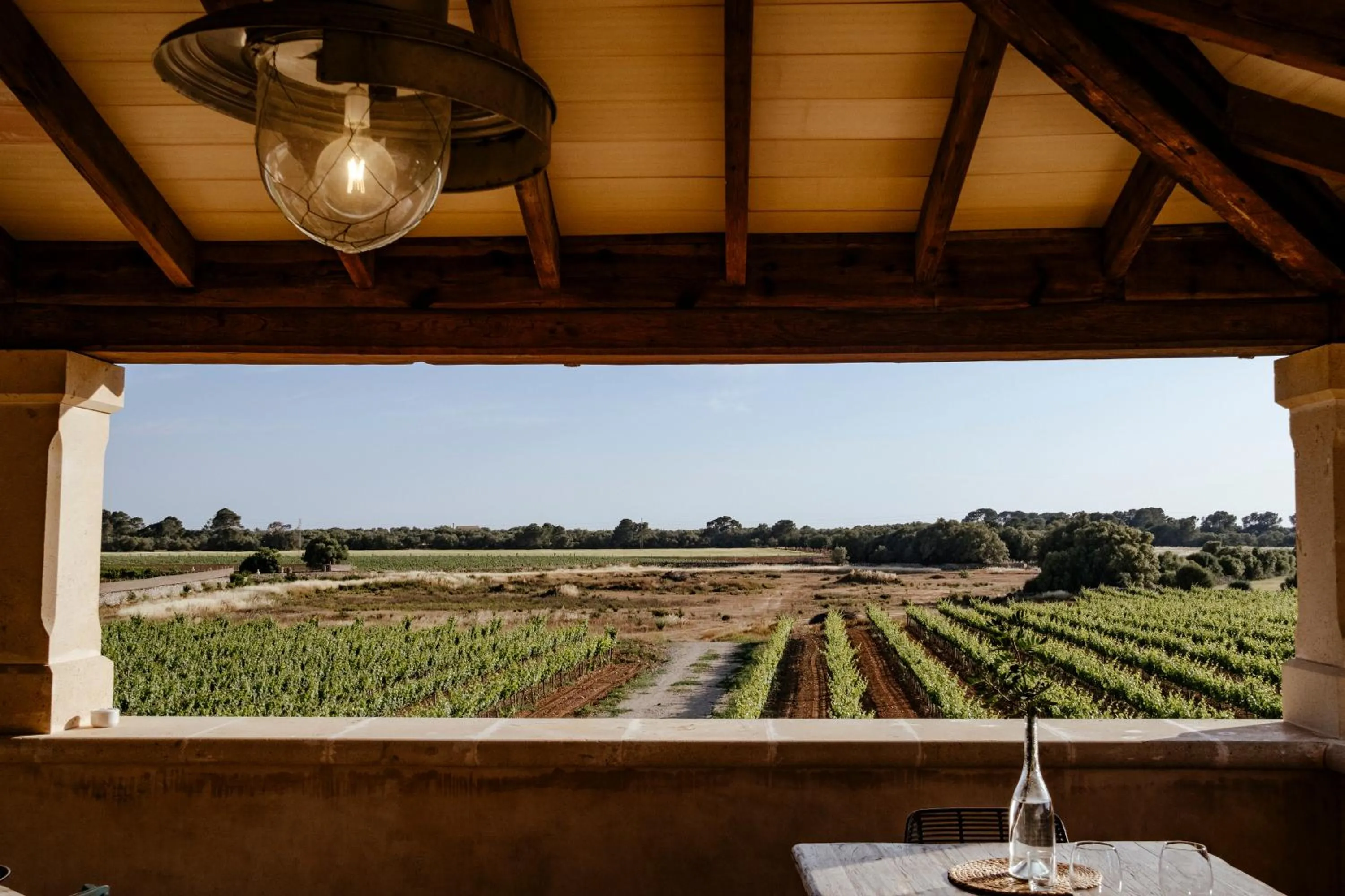 Natural landscape in Finca Gomera - Agroturismo Hotel
