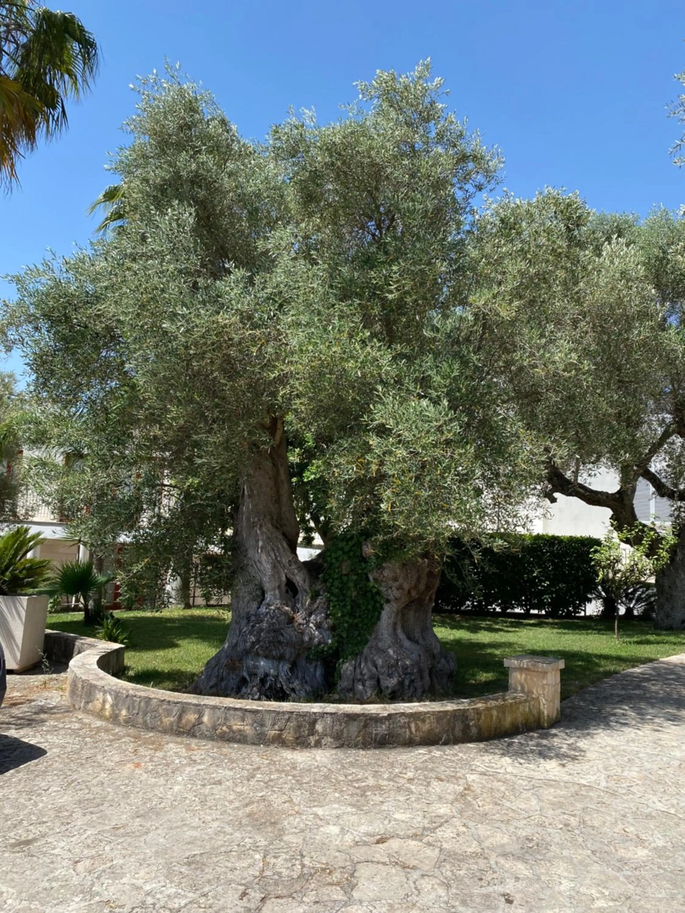 Città Bianca Country Resort