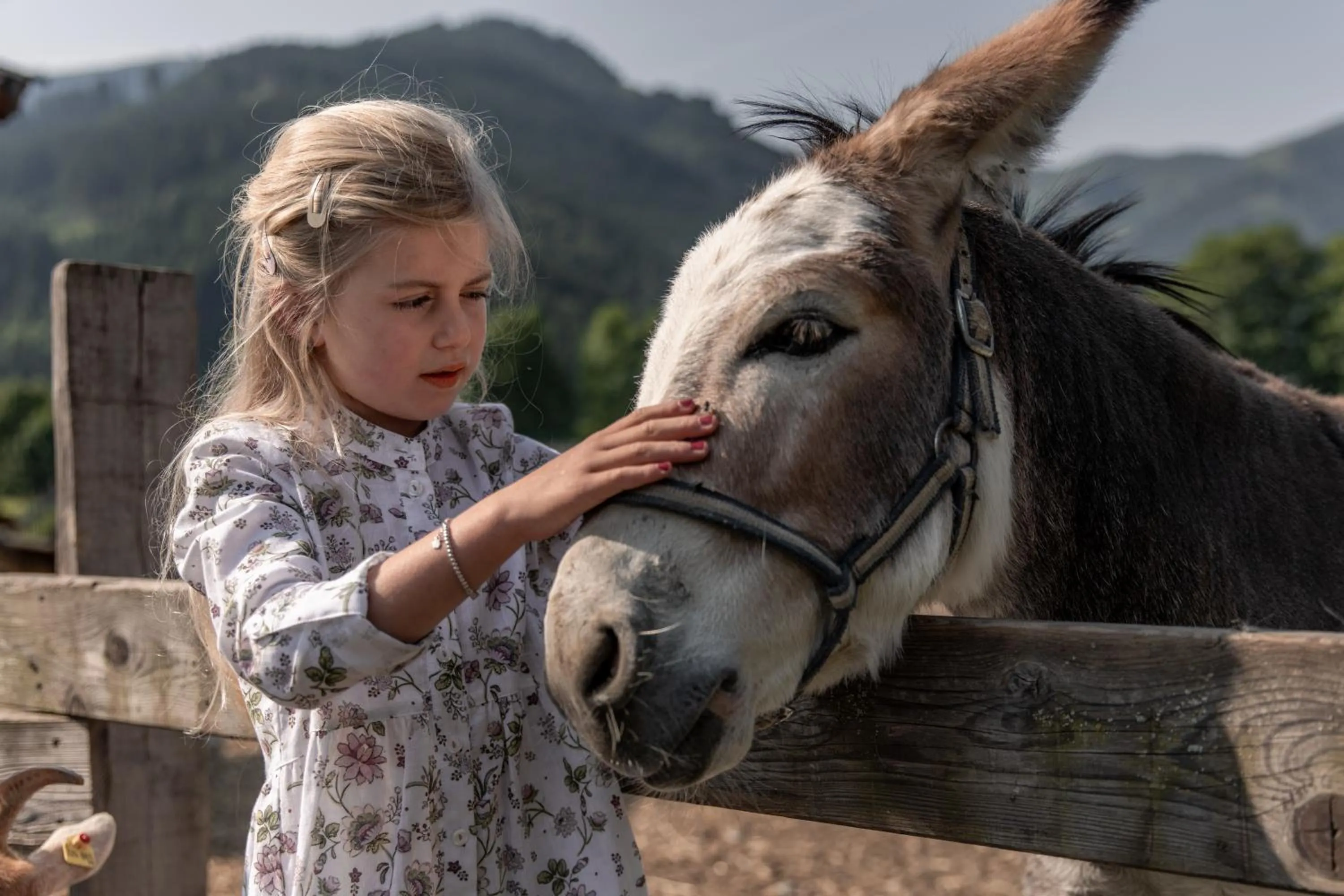 Animals in Biohof Ebengut