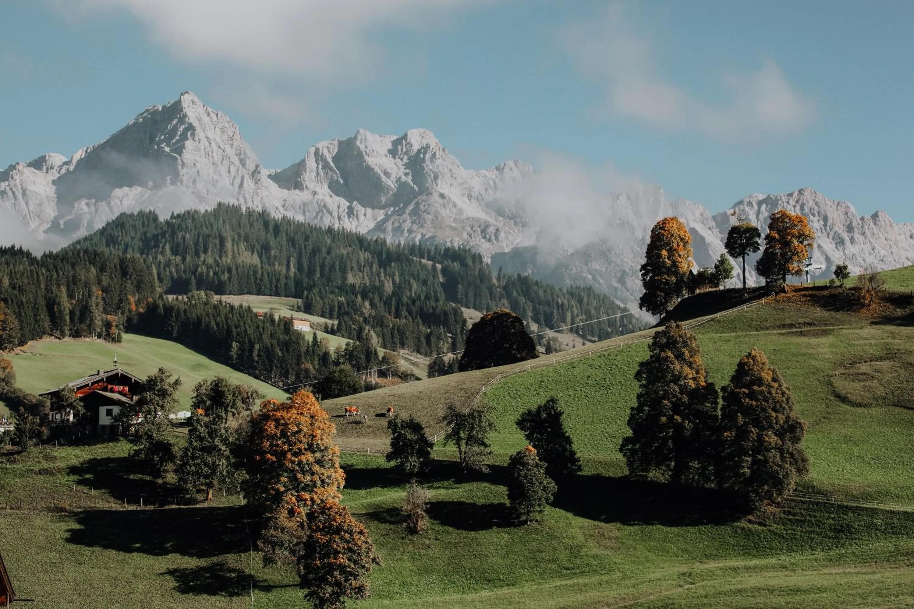 Natural landscape in Biohof Ebengut
