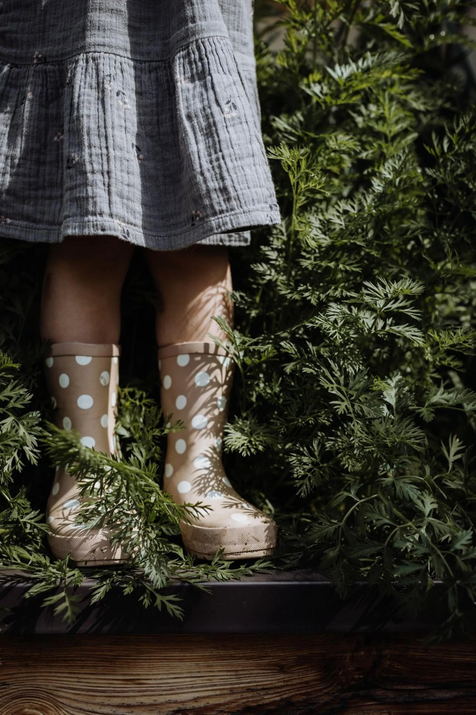 Garden in Biohof Ebengut