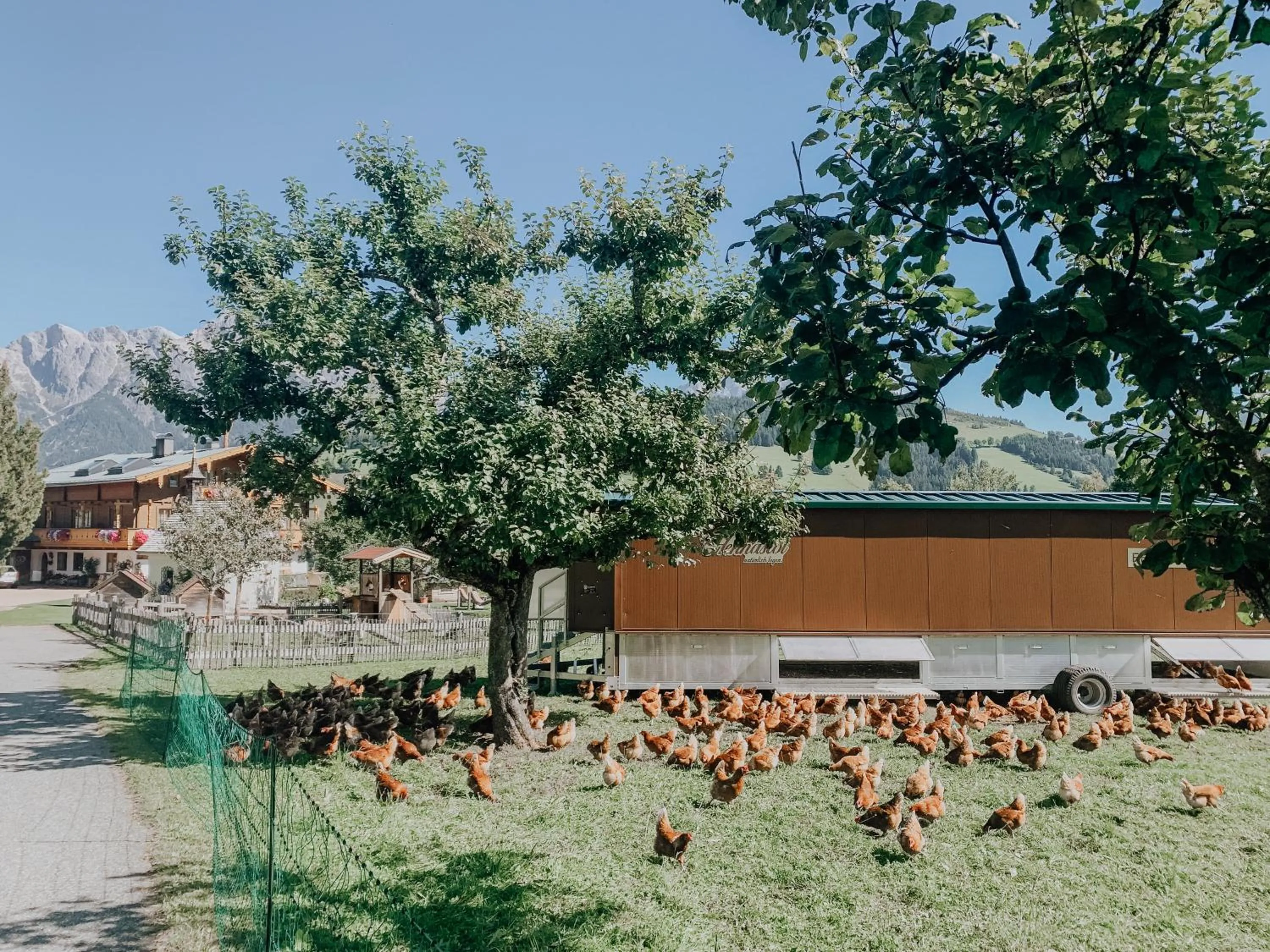 Animals in Biohof Ebengut