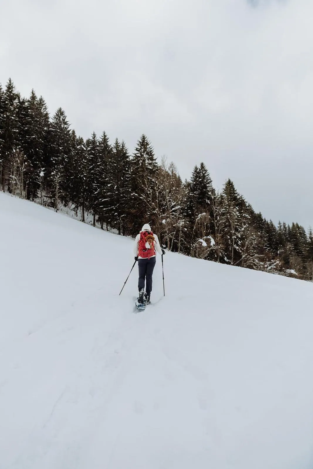 Hiking in Biohof Ebengut