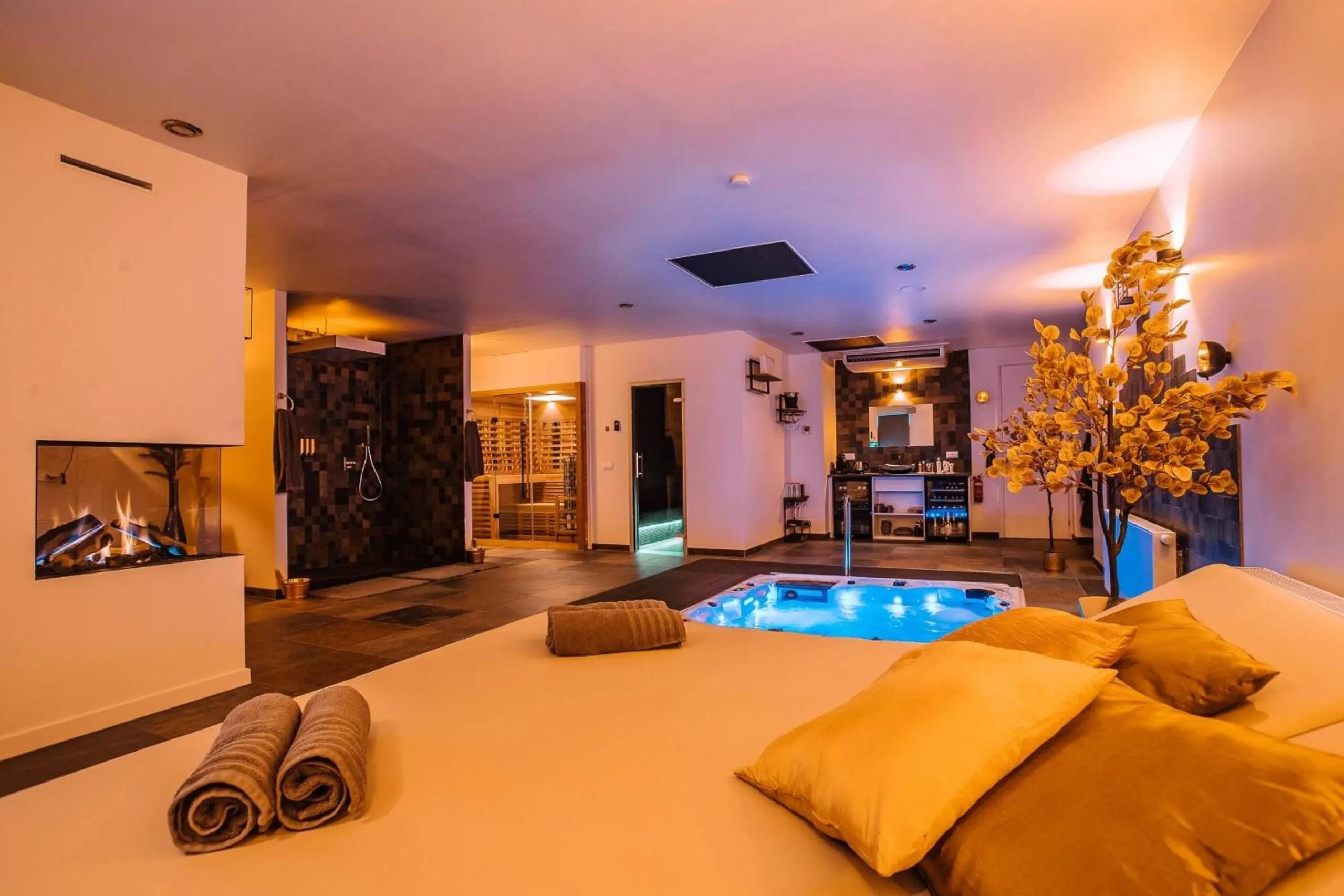 TV and multimedia in Maas en Waal Wellness & Suites