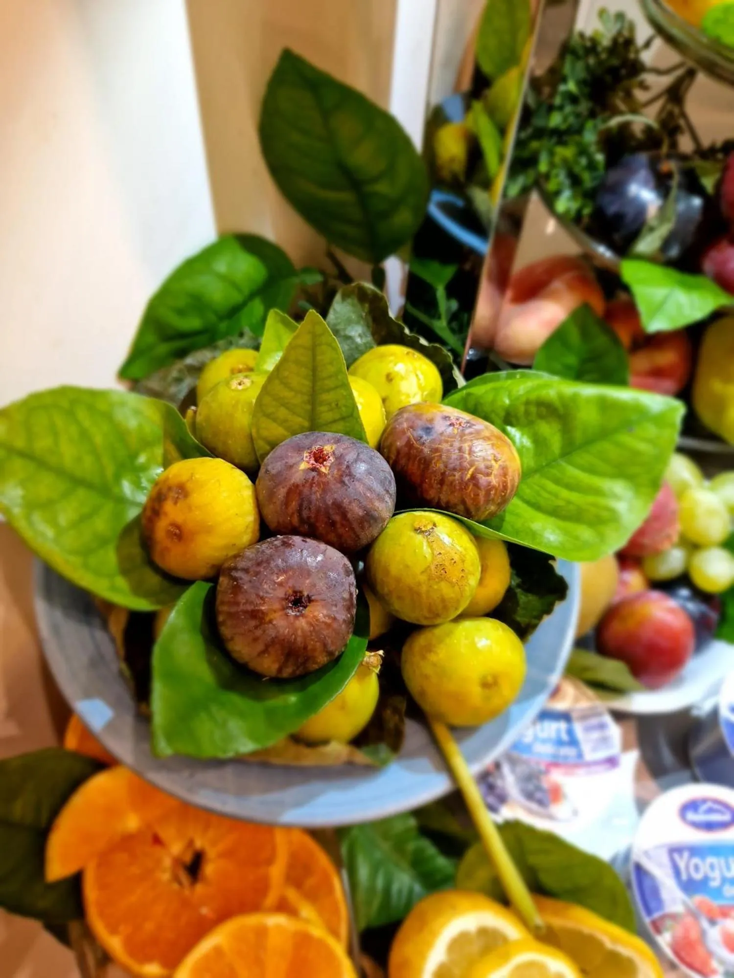 Casa Dominova de Luxe