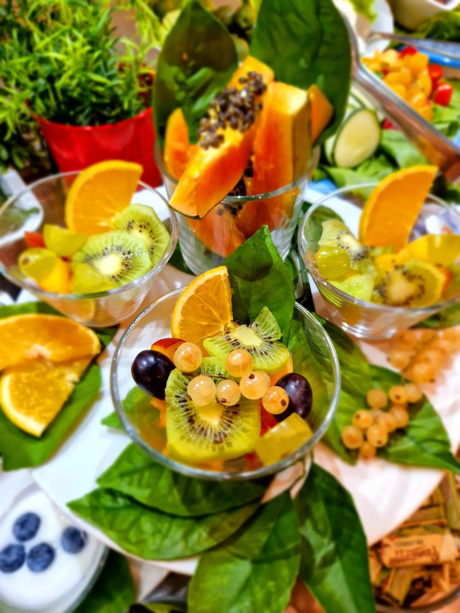 Casa Dominova de Luxe