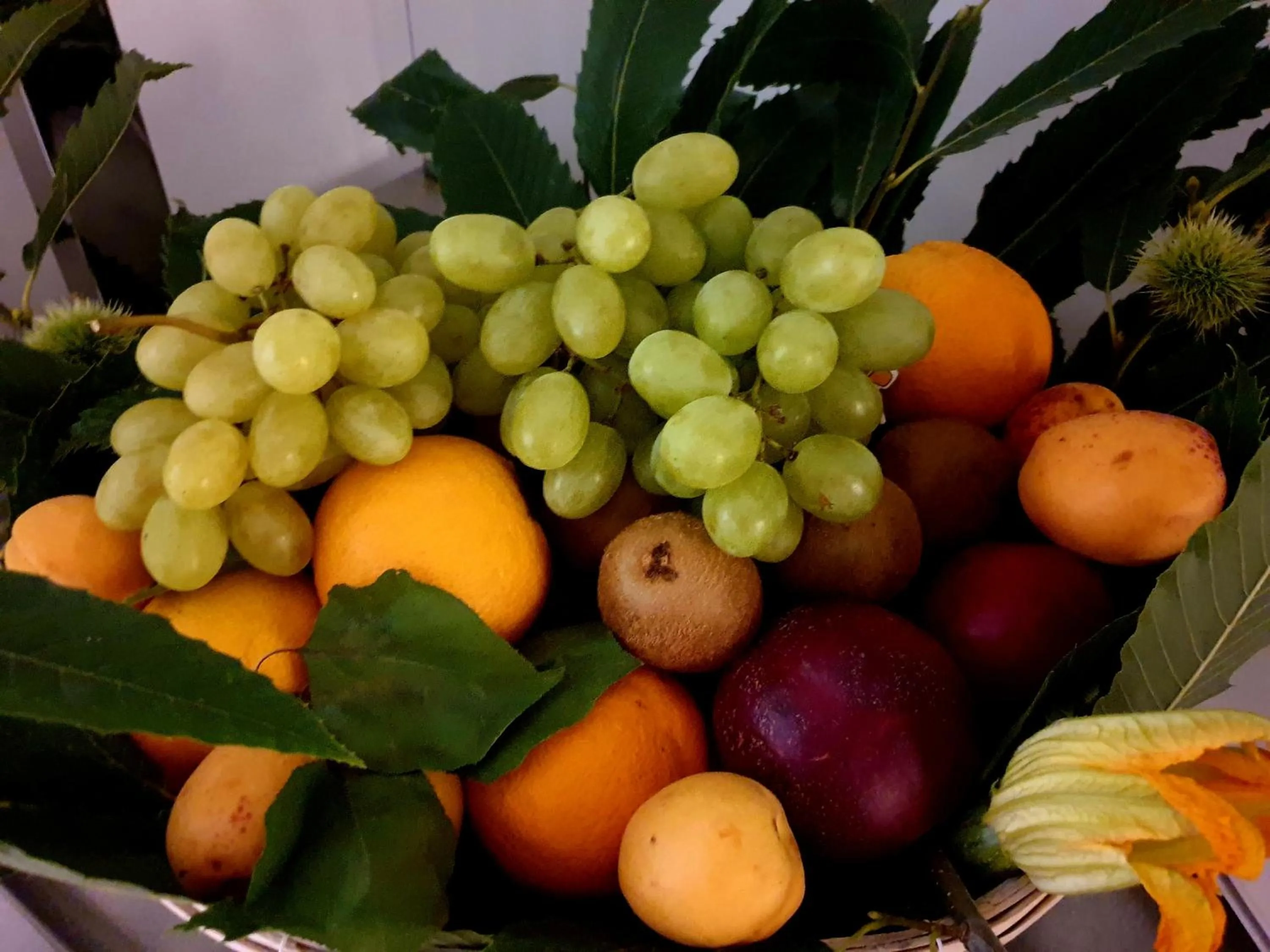 Casa Dominova de Luxe