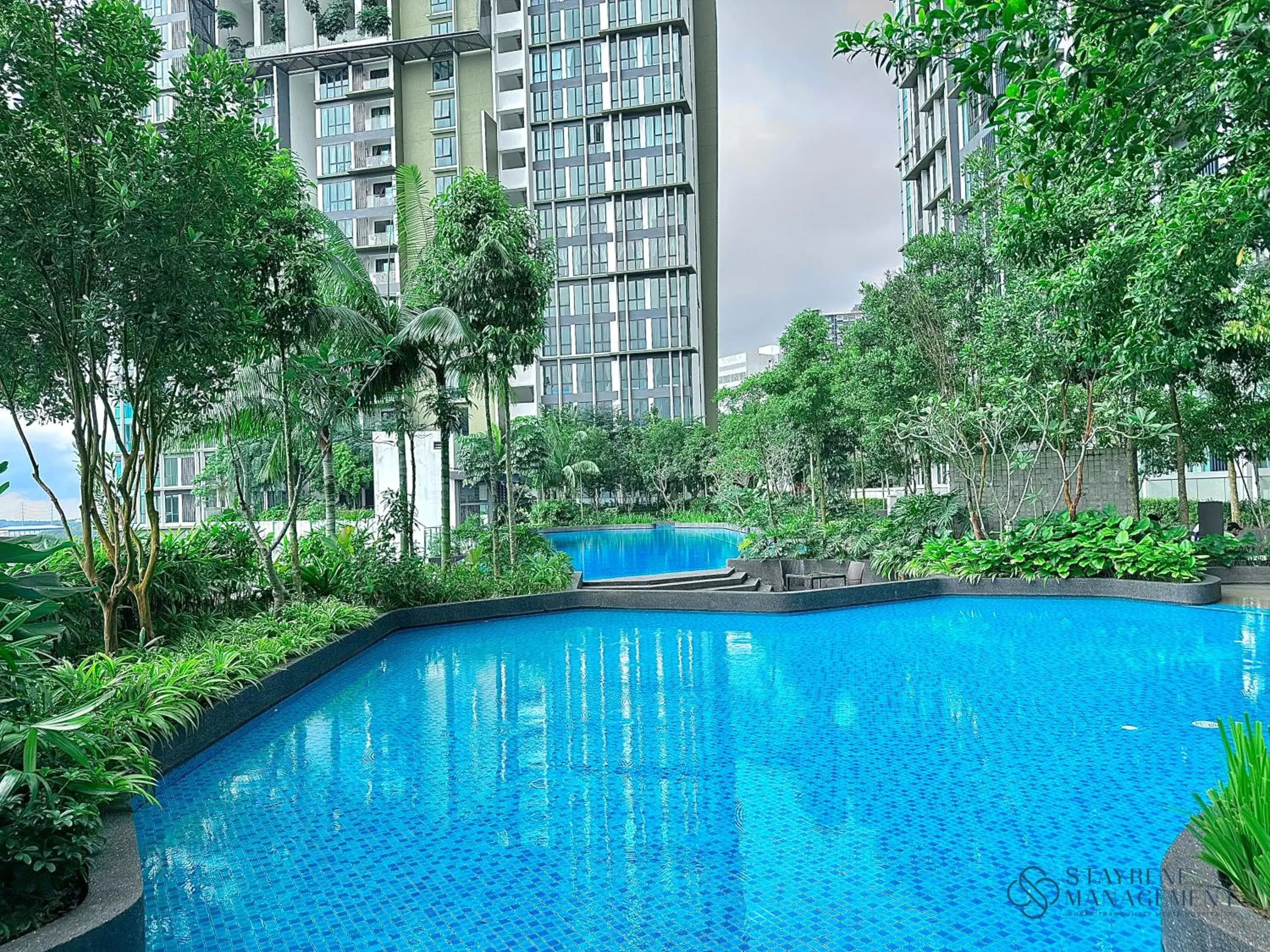 Swimming pool in The Elysia Suites Swimming pool in The Elysia Suites