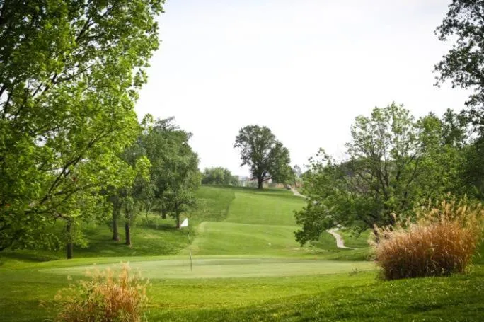 Golfcourse in Holiday Inn Express & Suites Evansville Downtown by IHG