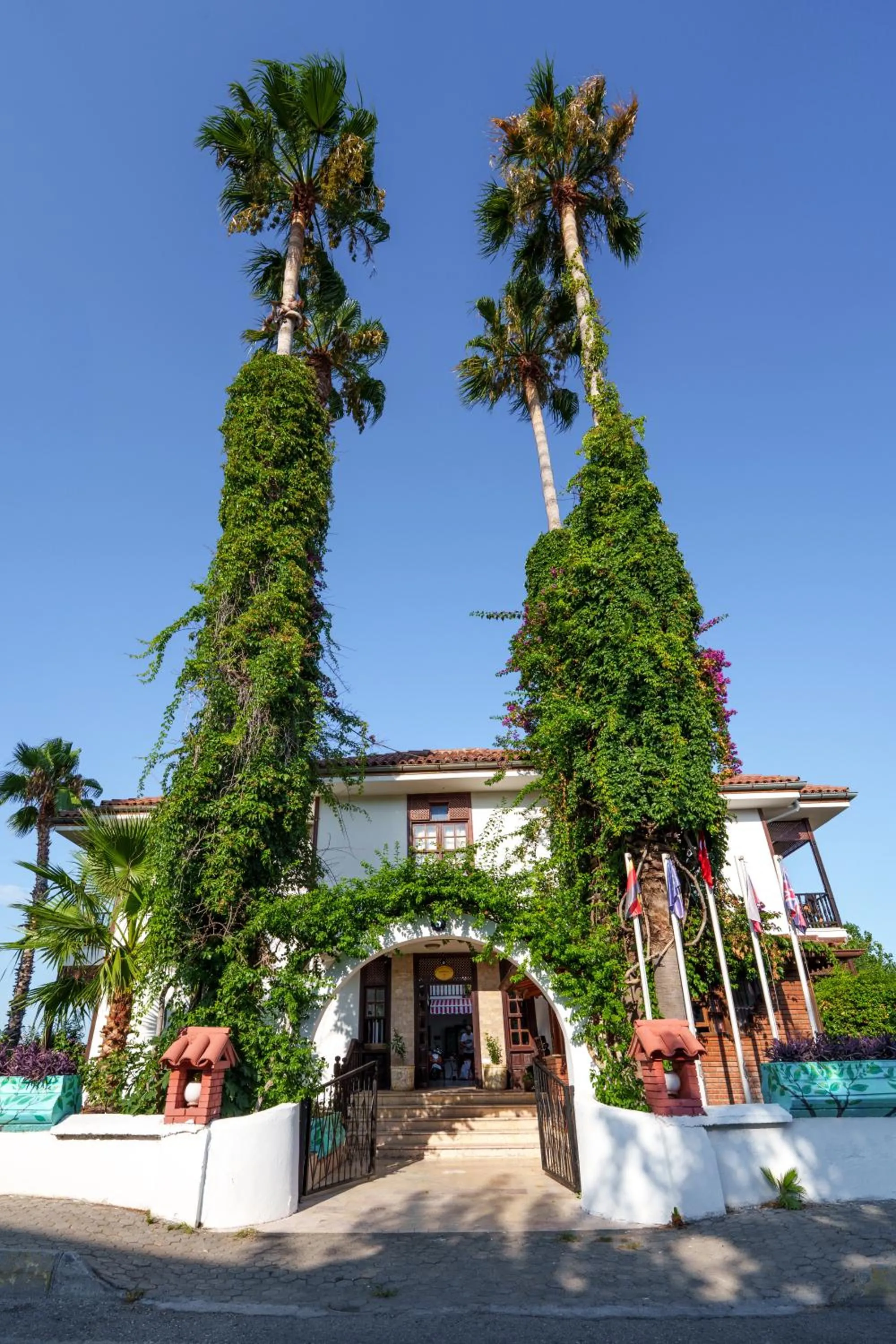 Palma Rosa Hotel