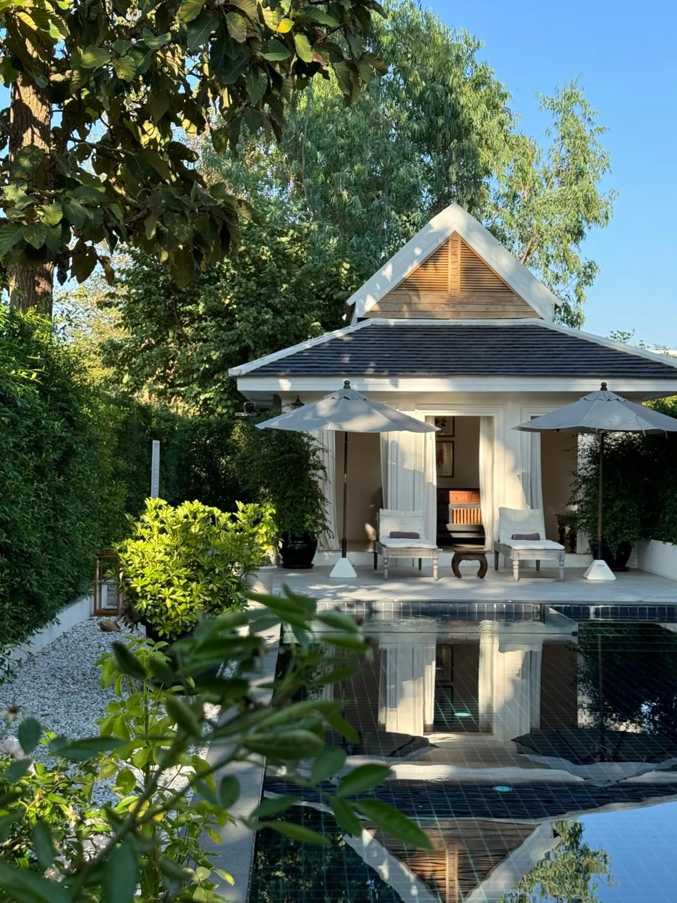 Swimming pool in Sela Chiangmai