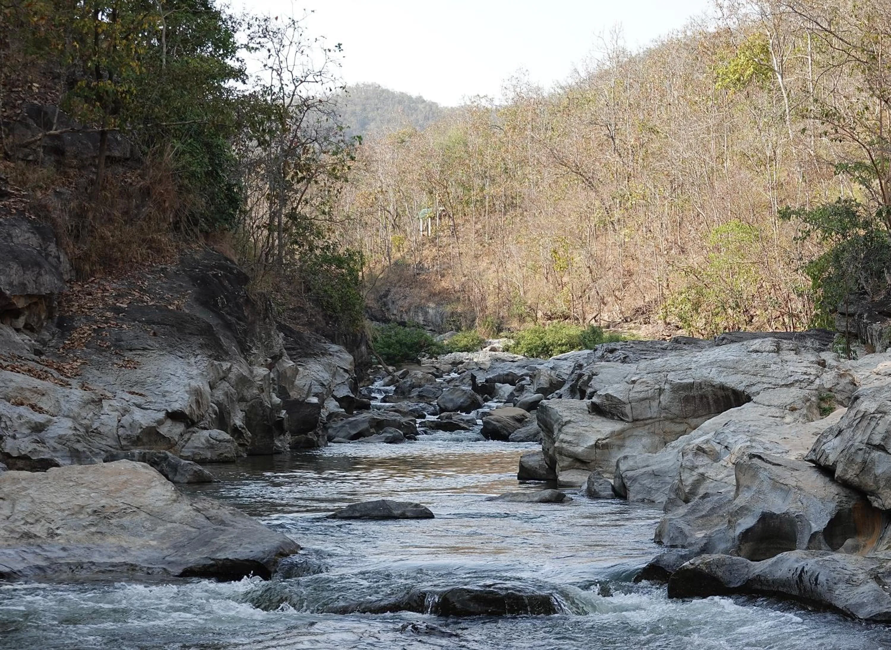 Nearby landmark in Sela Chiangmai