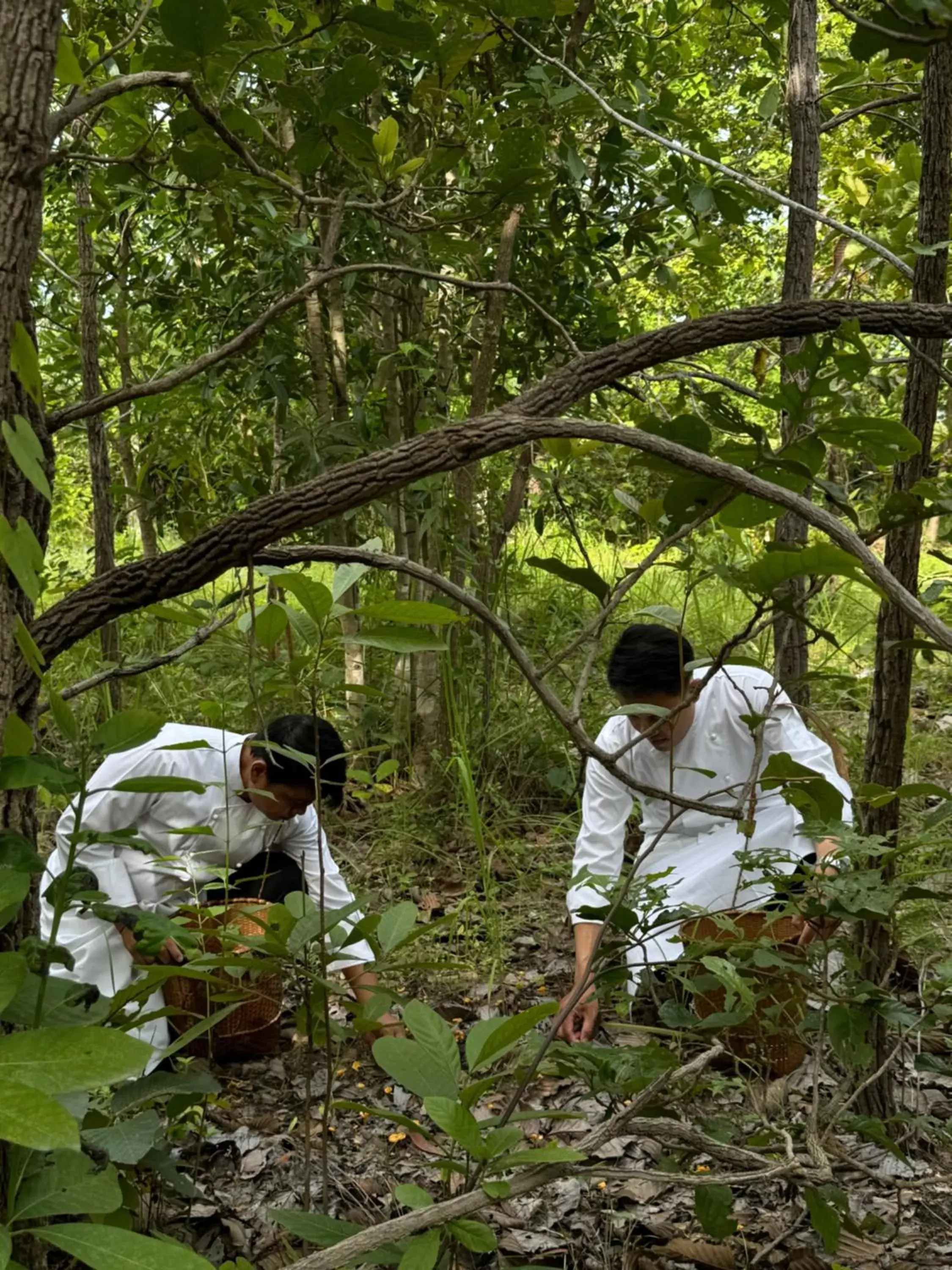 Activities in Sela Chiangmai Activities in Sela Chiangmai