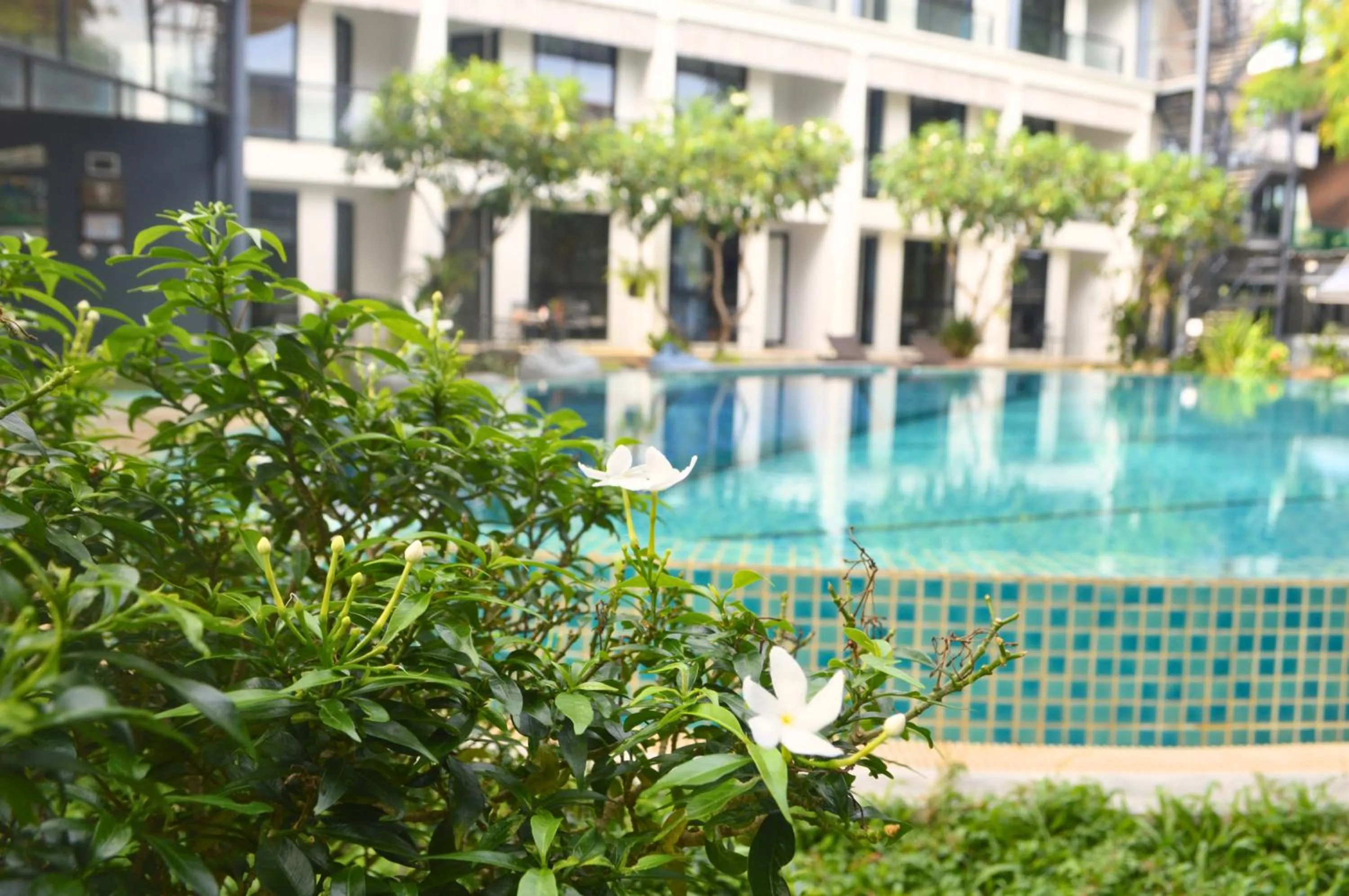 Property building in Z&Z Resort