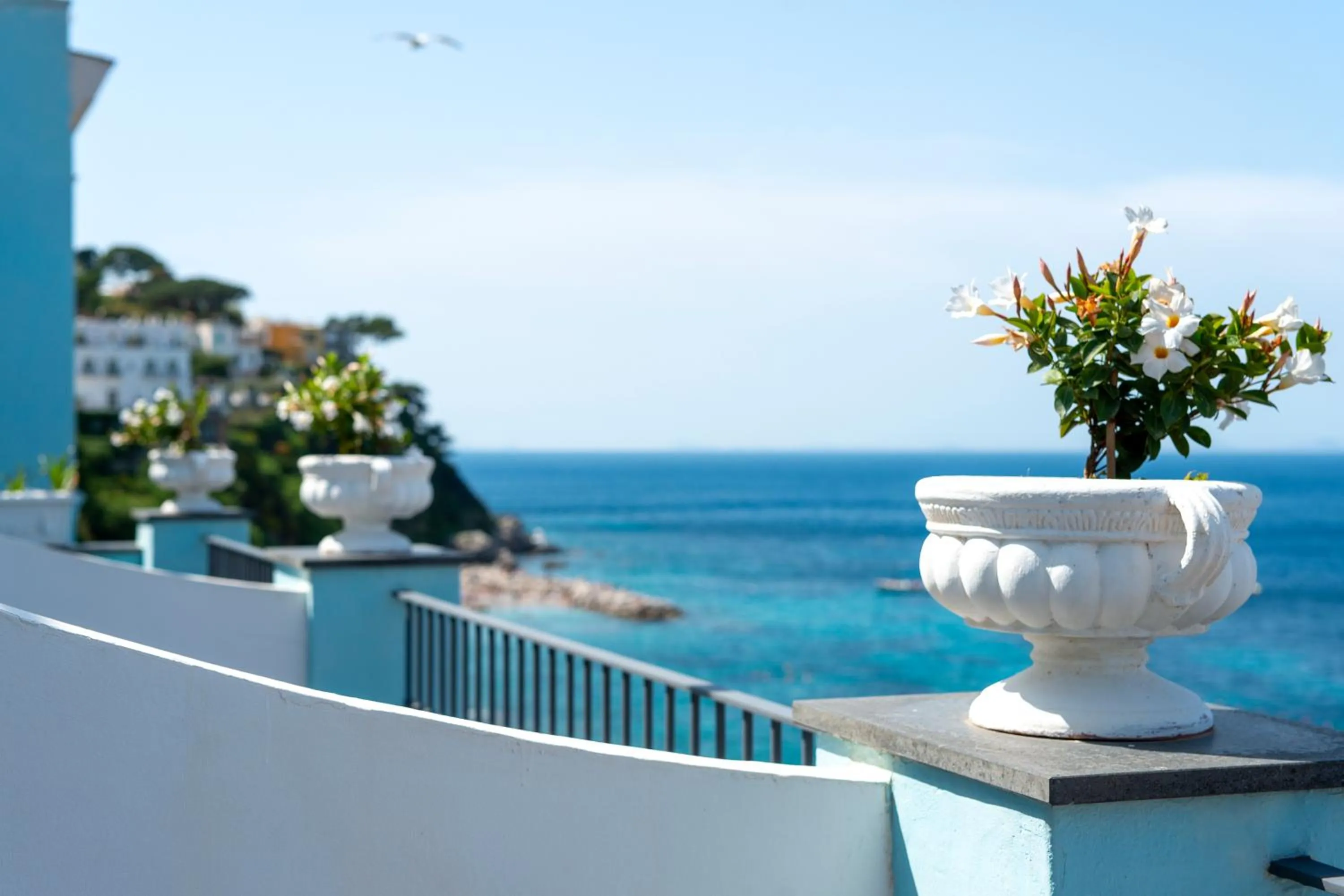 Balcony/Terrace in Relais Maresca Luxury Small Hotel & Terrace Restaurant