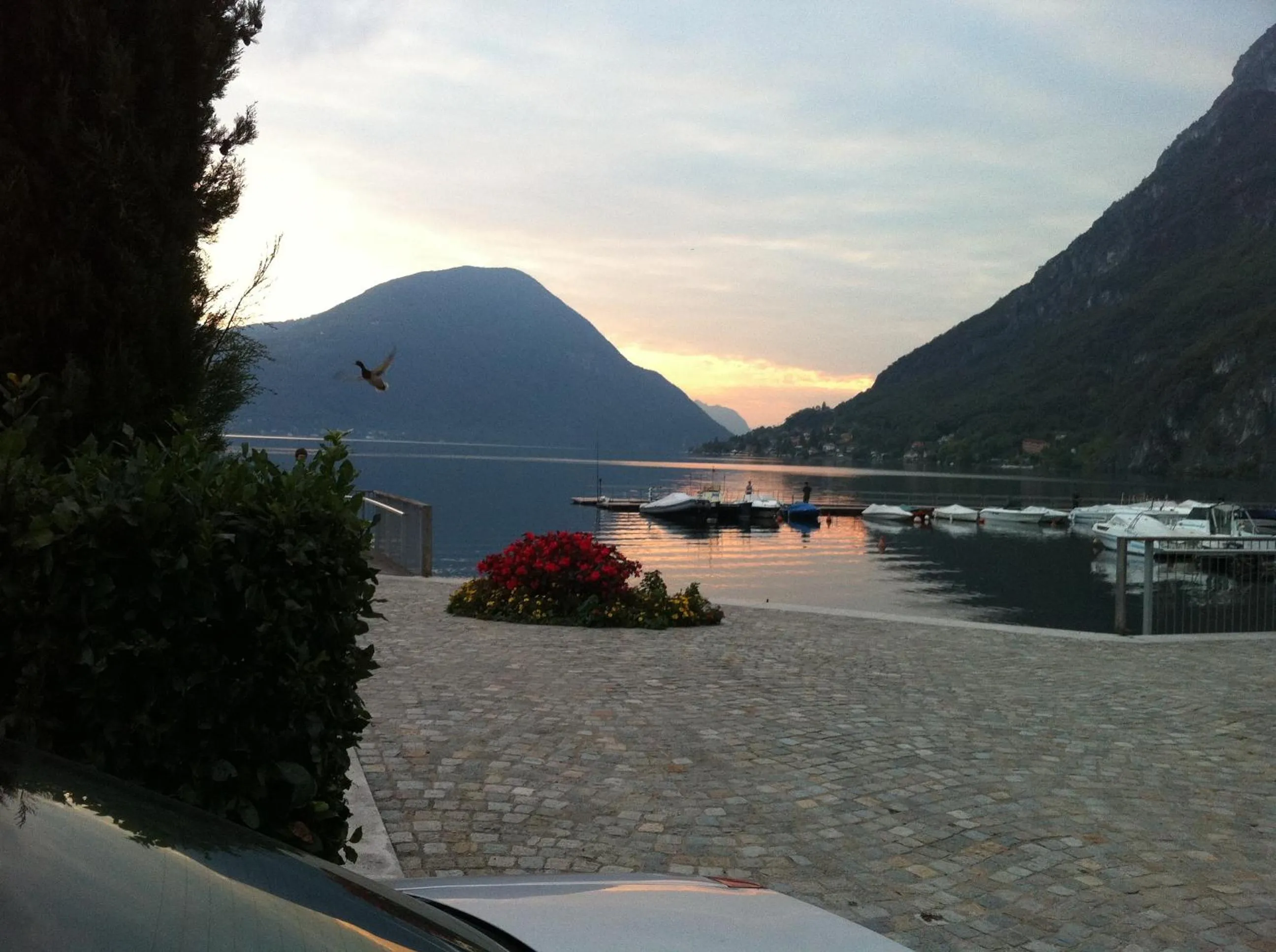 Area and facilities in Hotel Europa