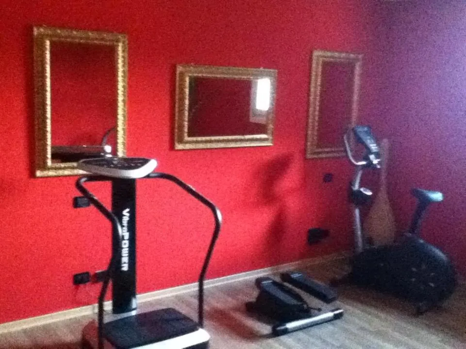 Fitness centre/facilities in Hotel Europa