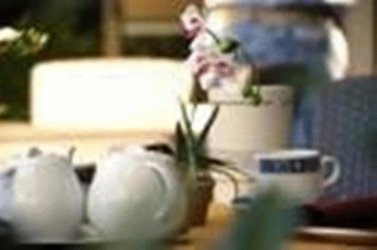 Decorative detail in Hotel Europa