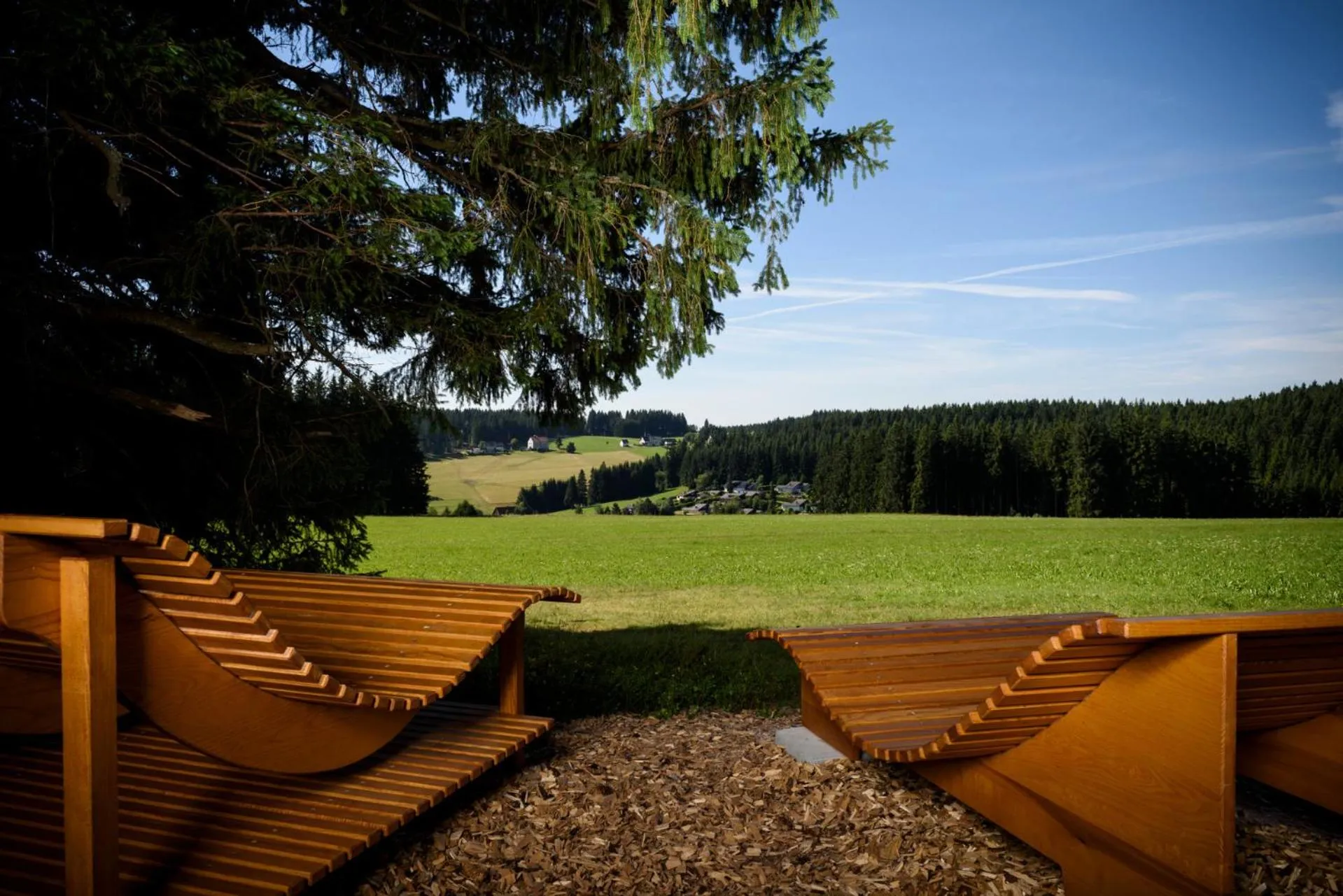 Neighbourhood in Carpediem Apartments