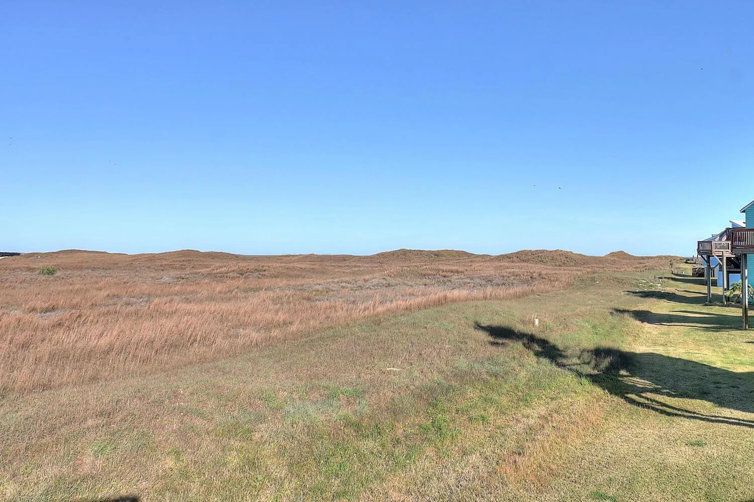 Other in It Is Fine LCV26 Pet Friendly