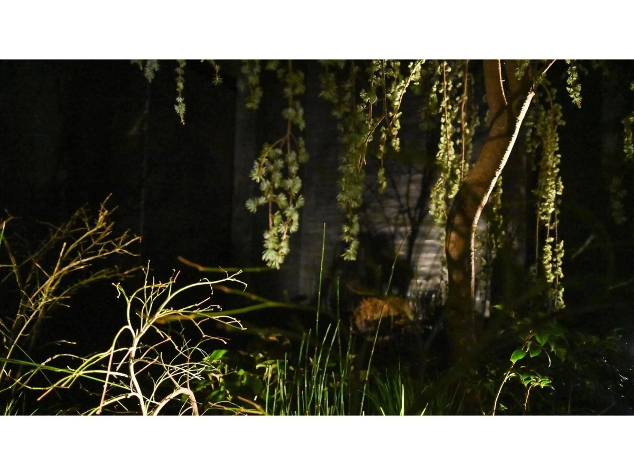 nol kyoto sanjo - Vacation STAY 00926v