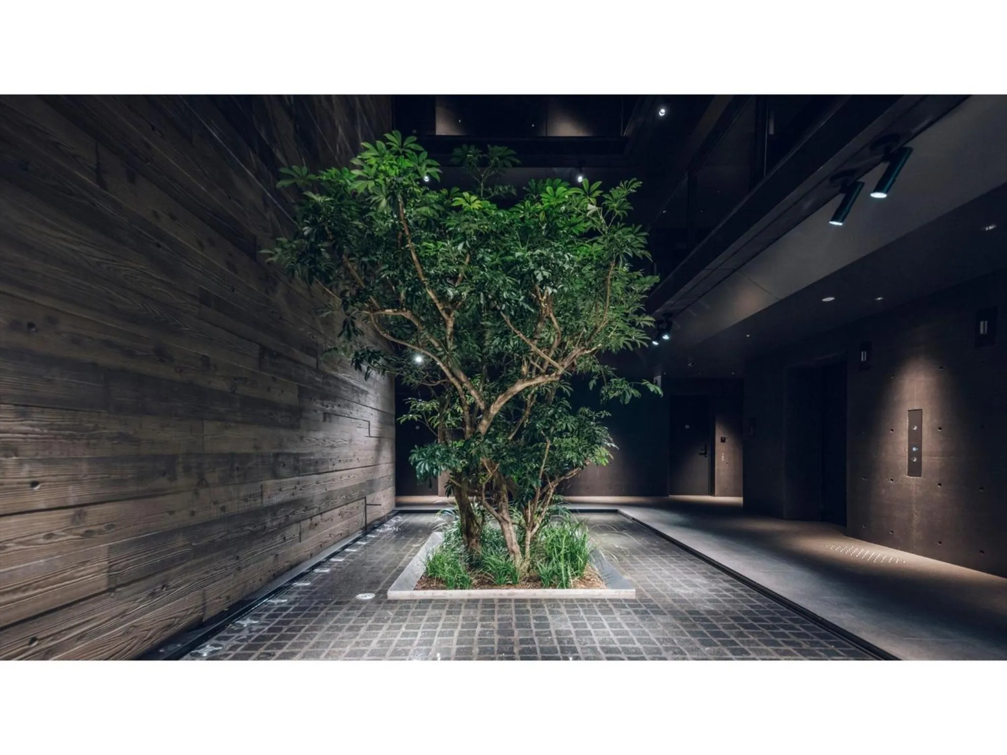 nol kyoto sanjo - Vacation STAY 97692v