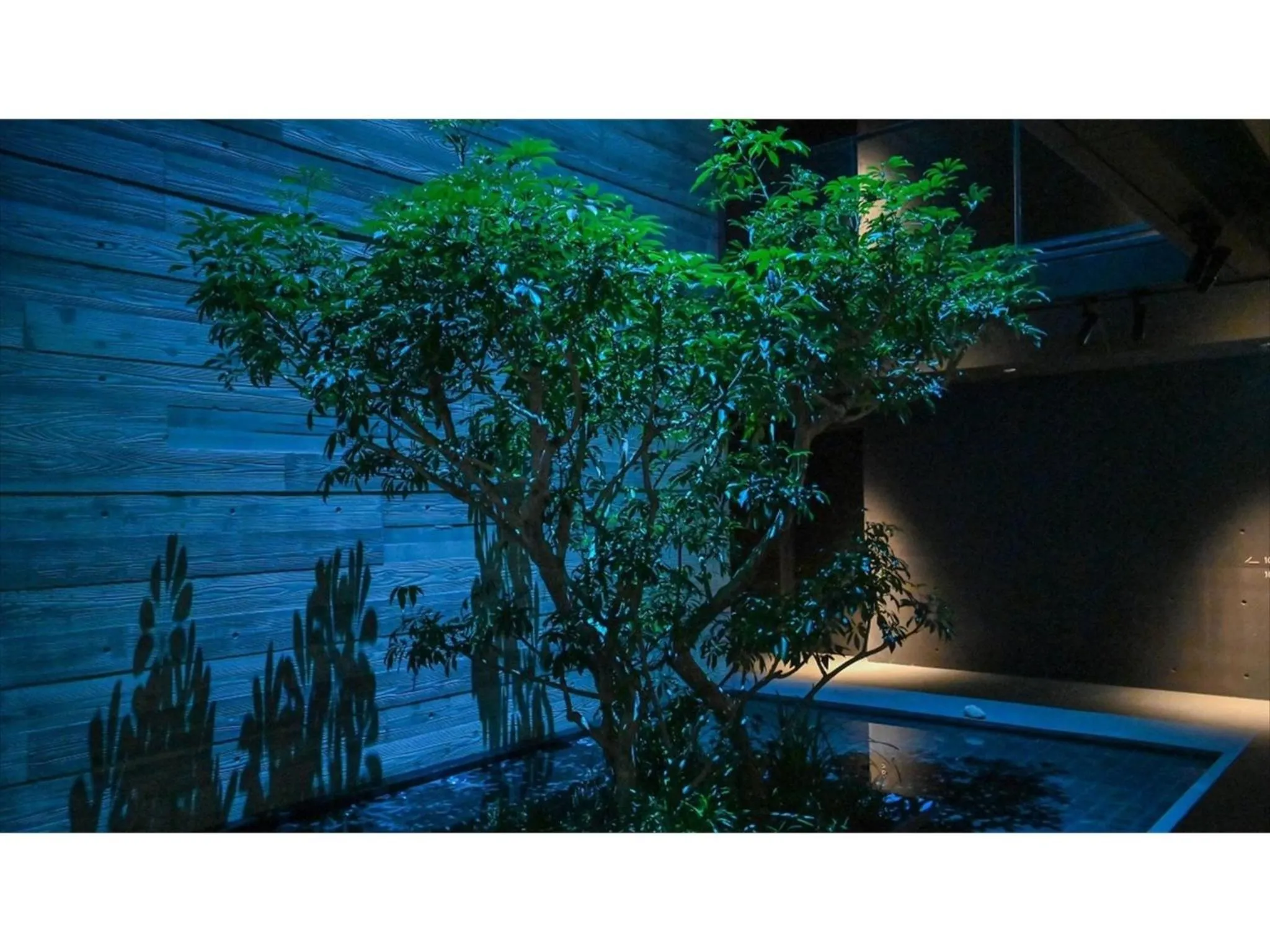 nol kyoto sanjo - Vacation STAY 97692v