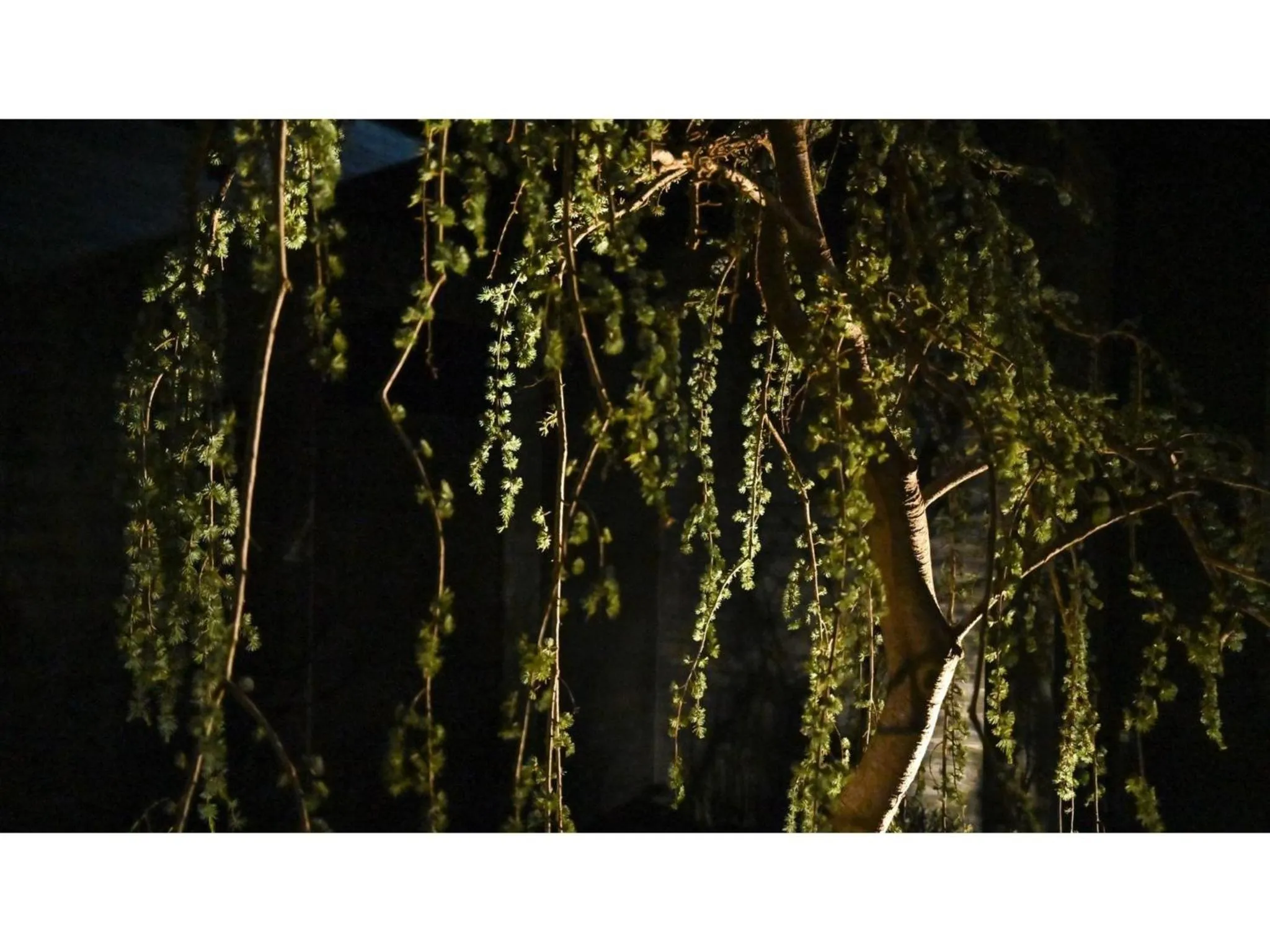 nol kyoto sanjo - Vacation STAY 97692v