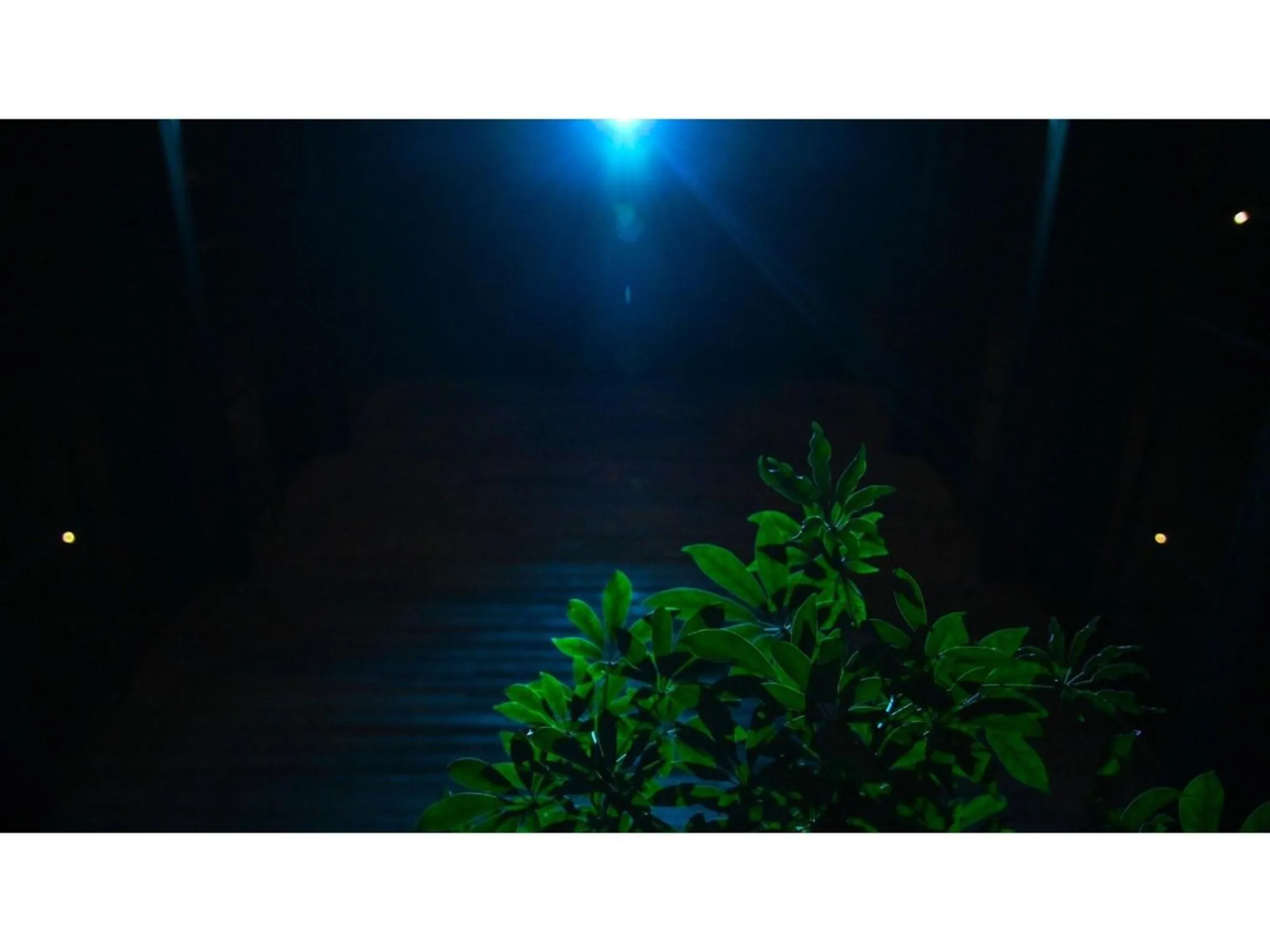 nol kyoto sanjo - Vacation STAY 97692v