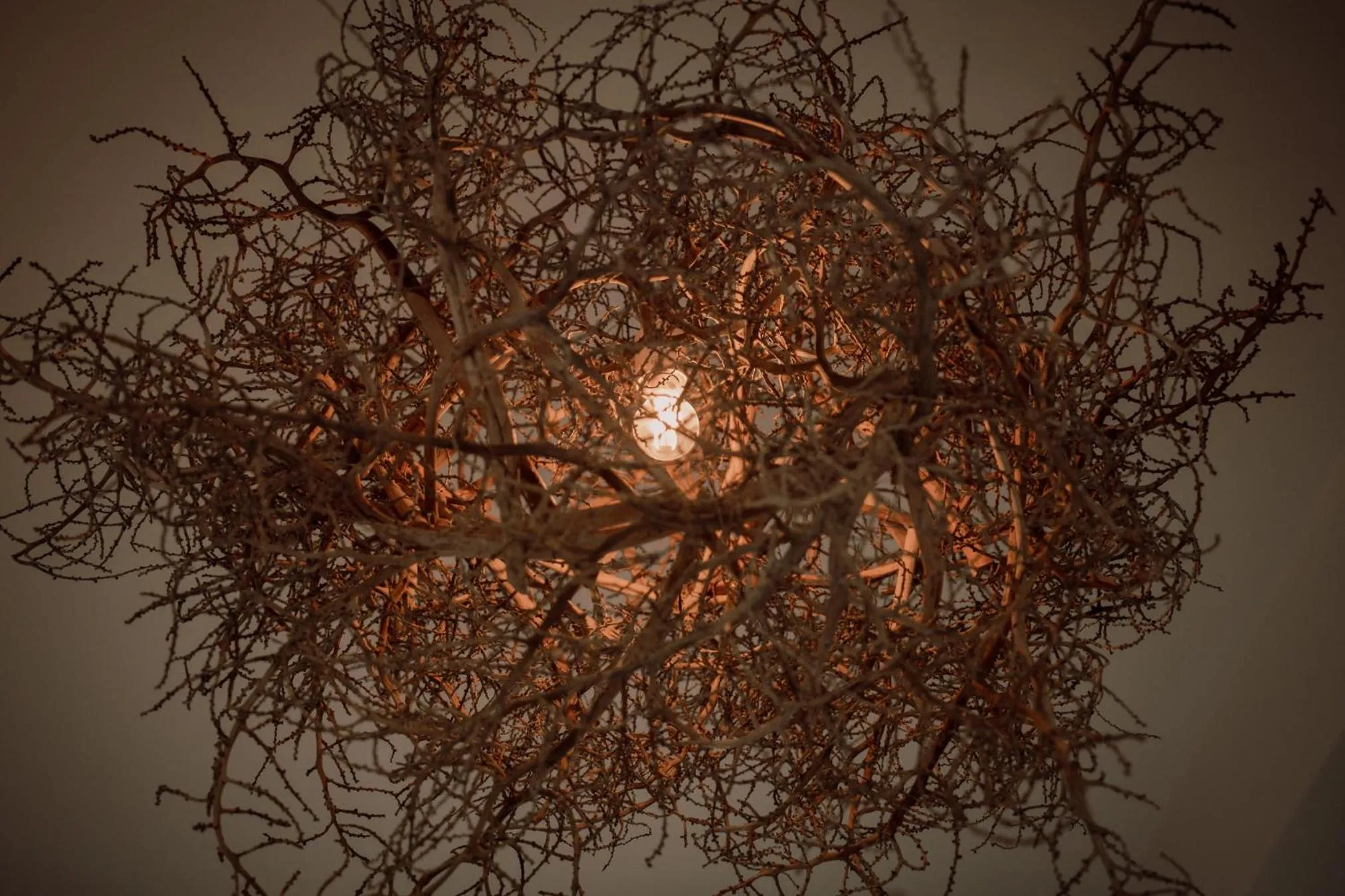 Photo of the whole room in MARINX POOLVILLA NAKANDAKARI