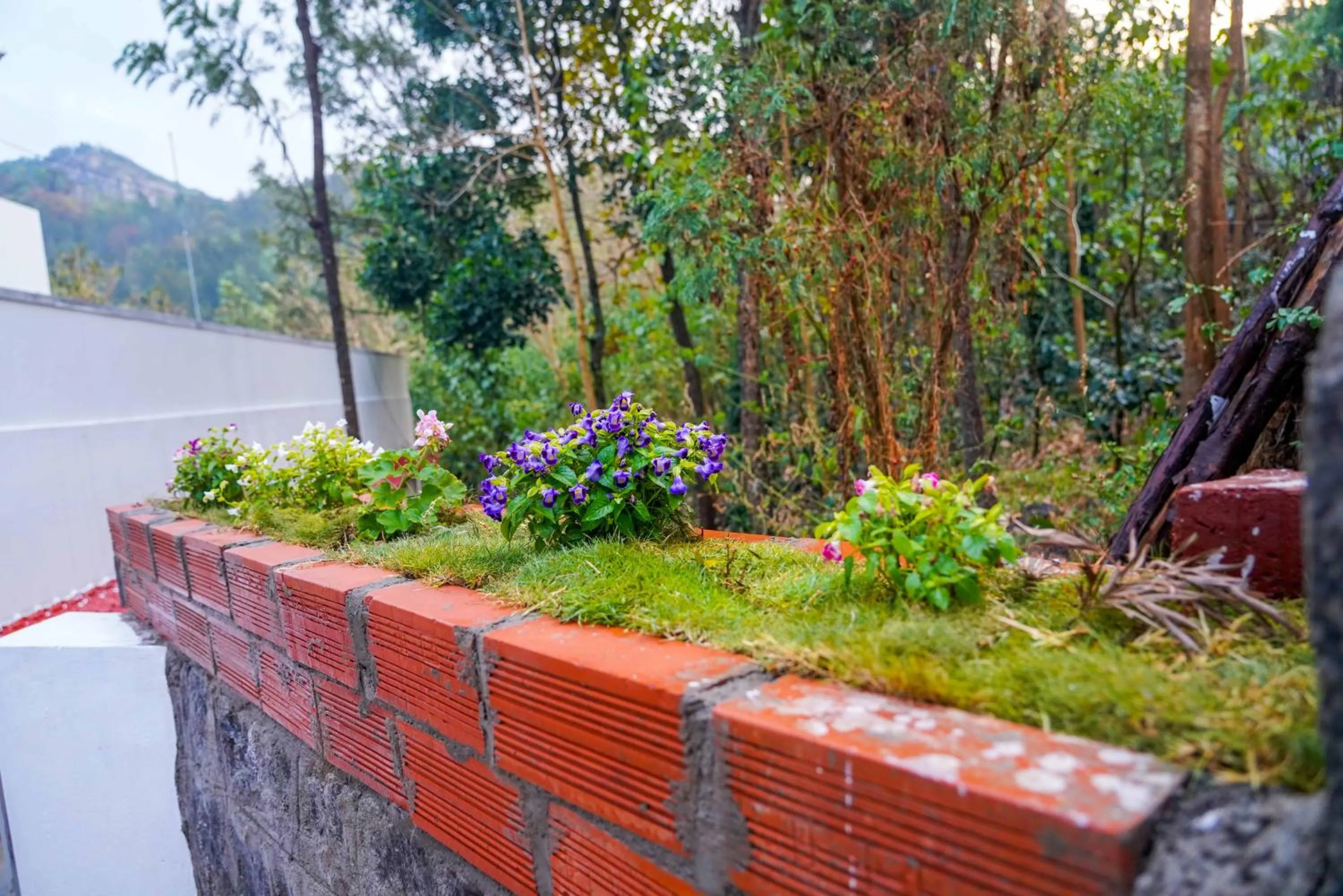 Garden in Bhavan Resorts