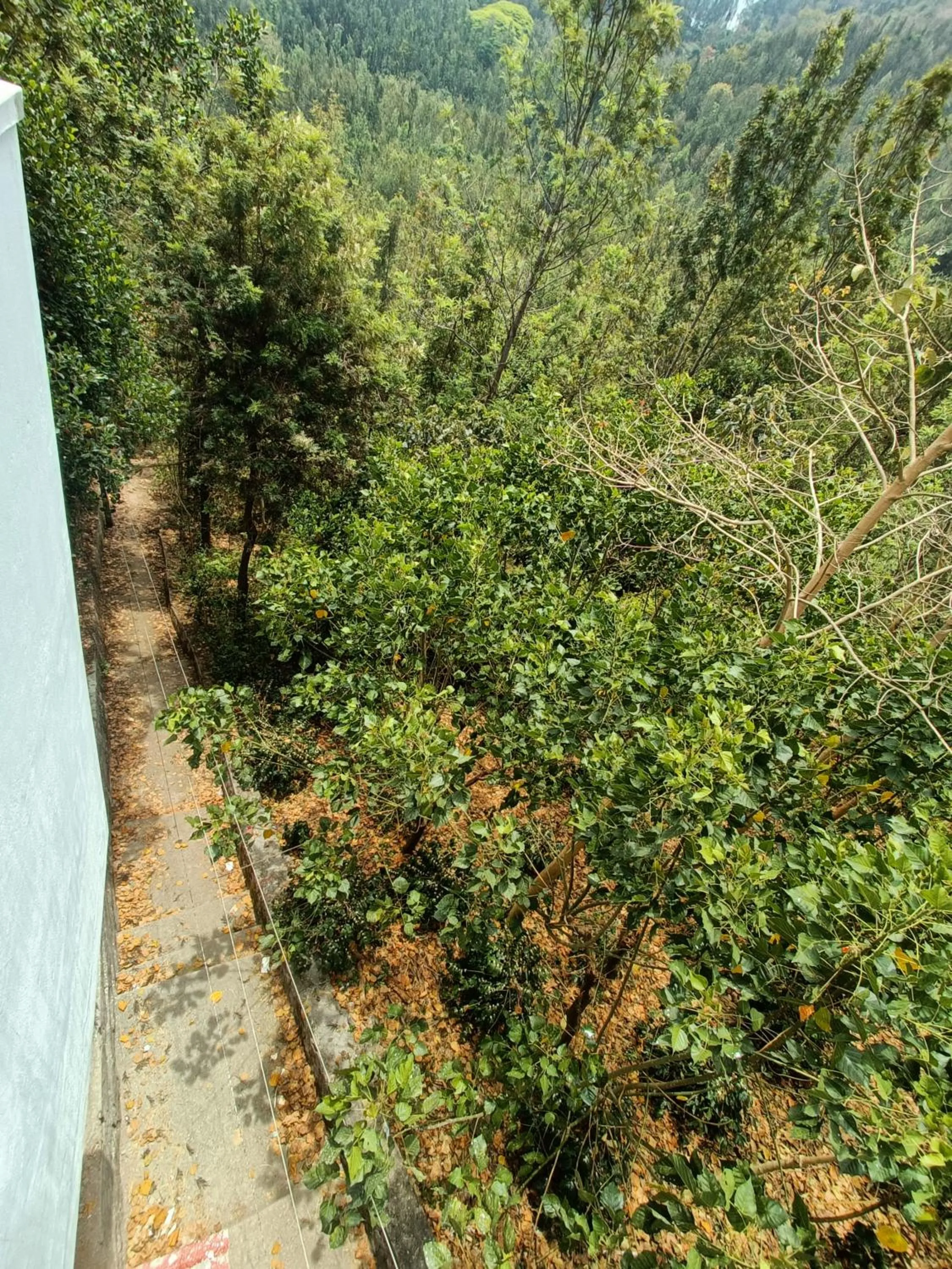 View (from property/room) in Bhavan Resorts