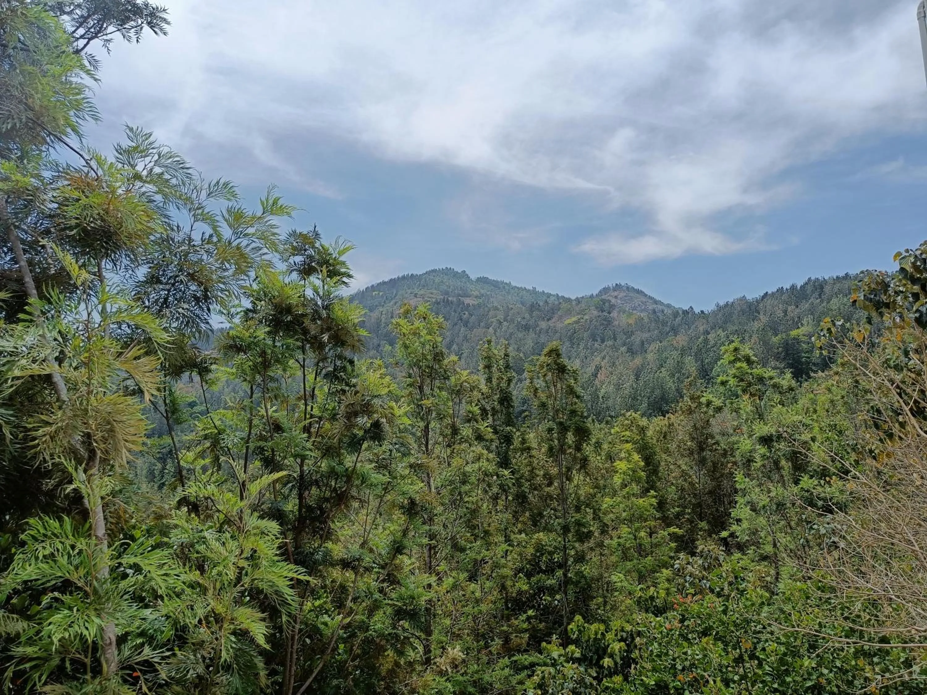 Natural landscape in Bhavan Resorts