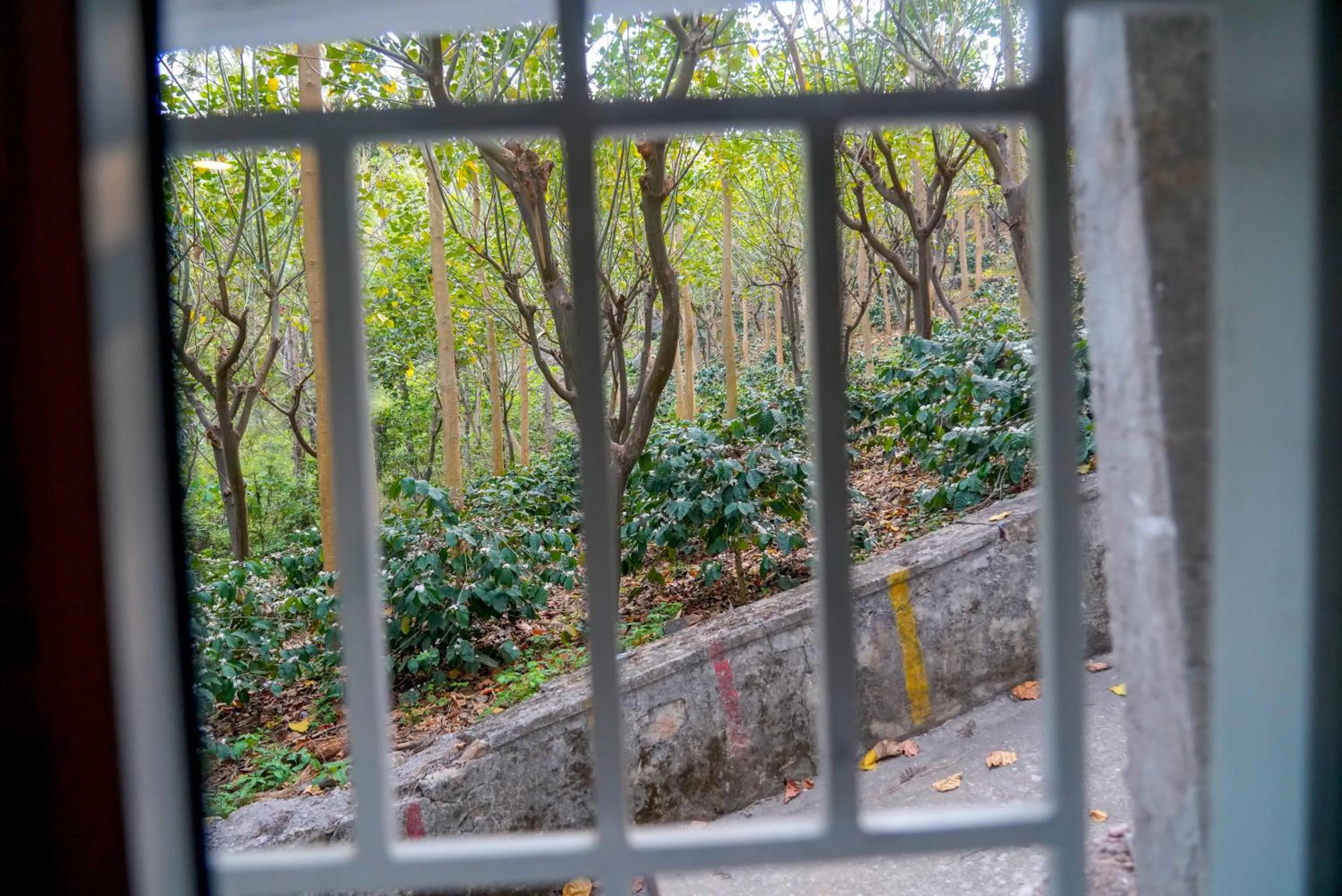 Garden view in Bhavan Resorts