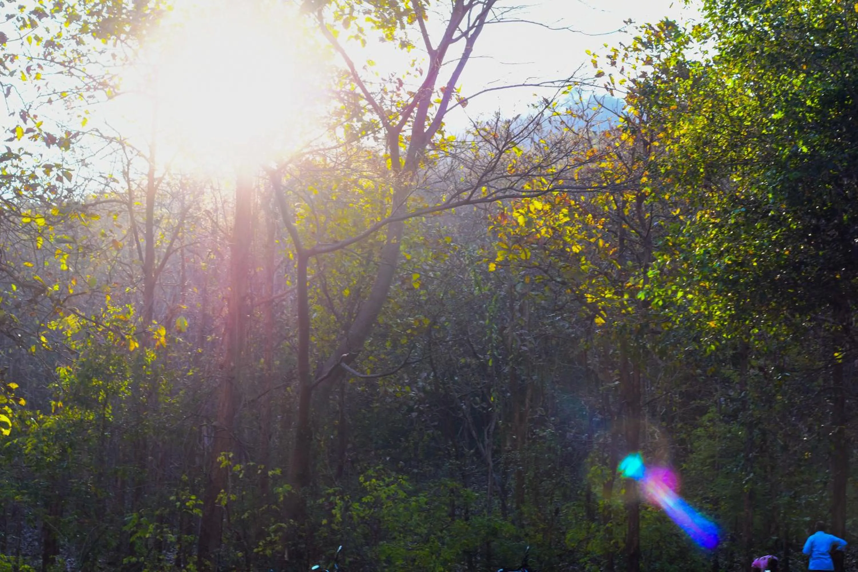 Garden in Bhavan Resorts