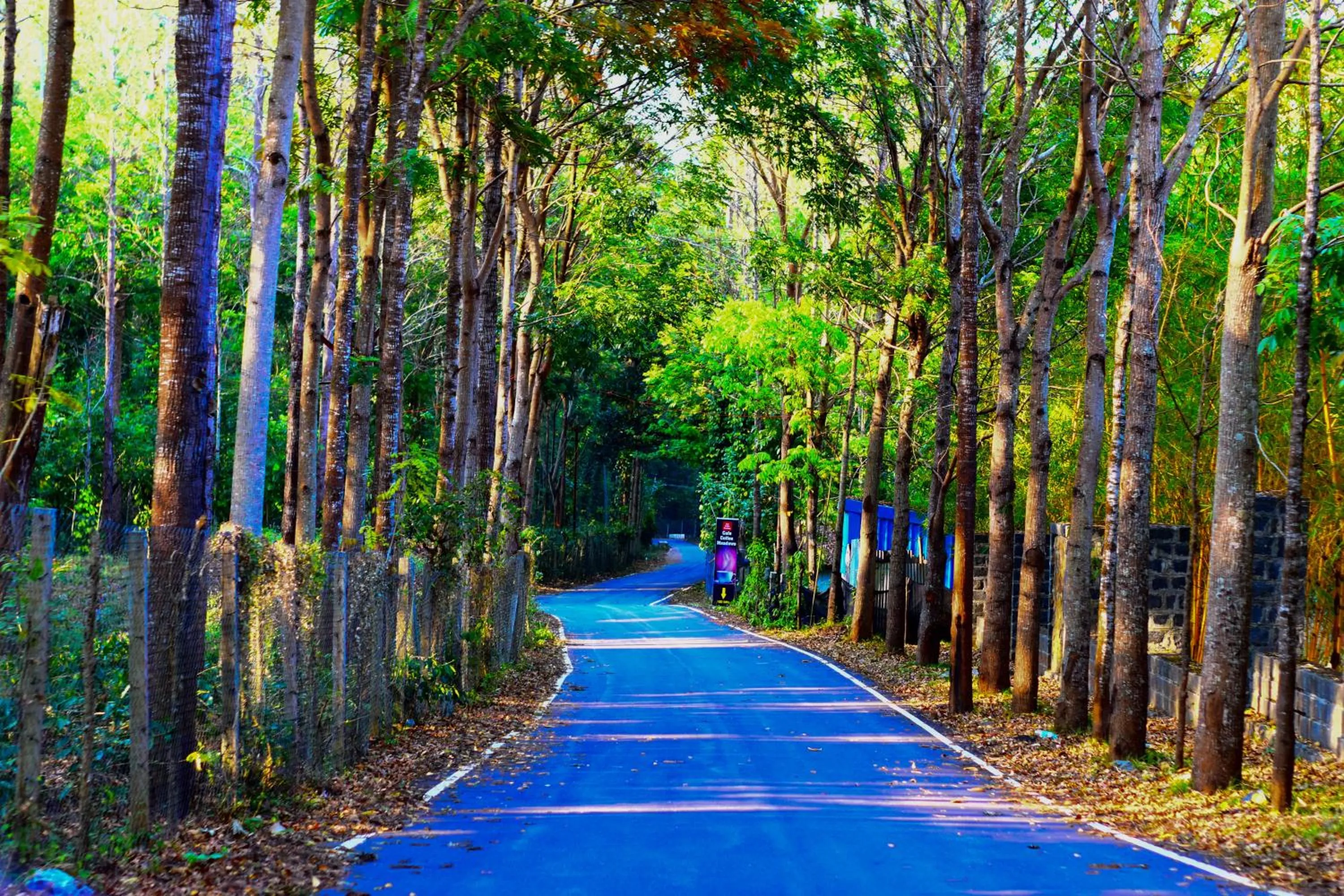 Natural landscape in Bhavan Resorts