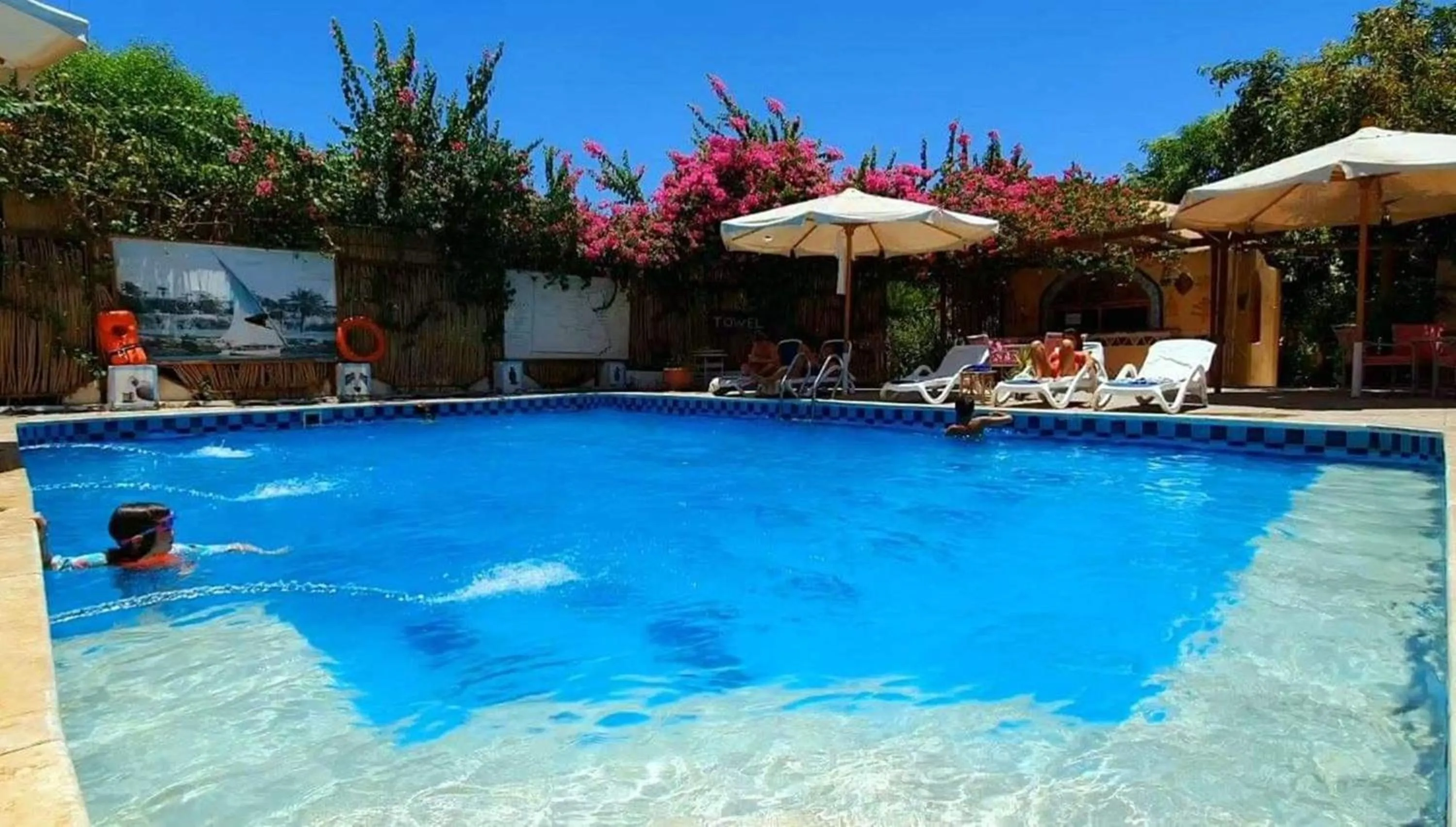 Swimming pool in Nile Compound