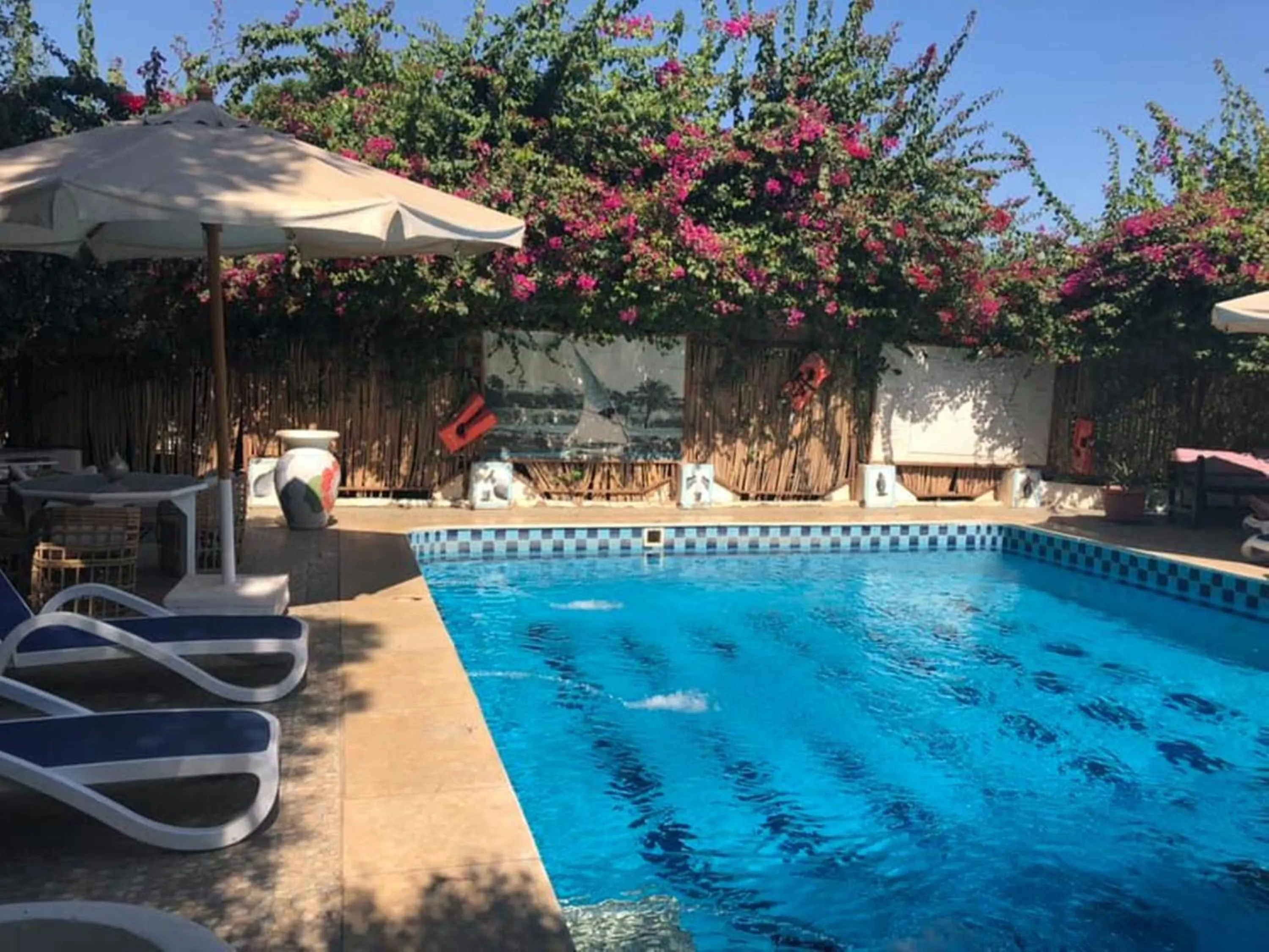 Swimming pool in Nile Compound