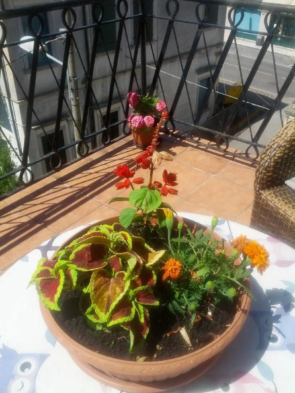Balcony/Terrace in Hotel Villa Tiziana