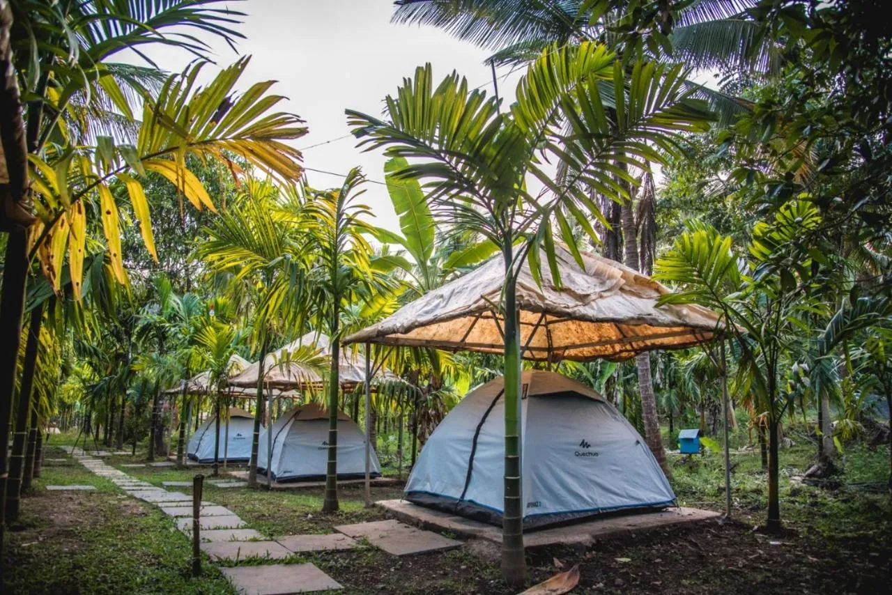 Dandeli Jungle Resort