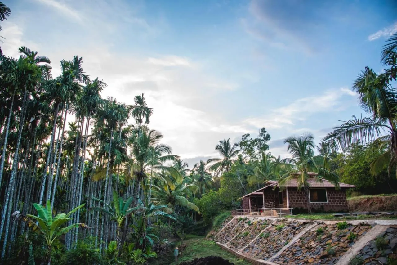 Dandeli Jungle Resort