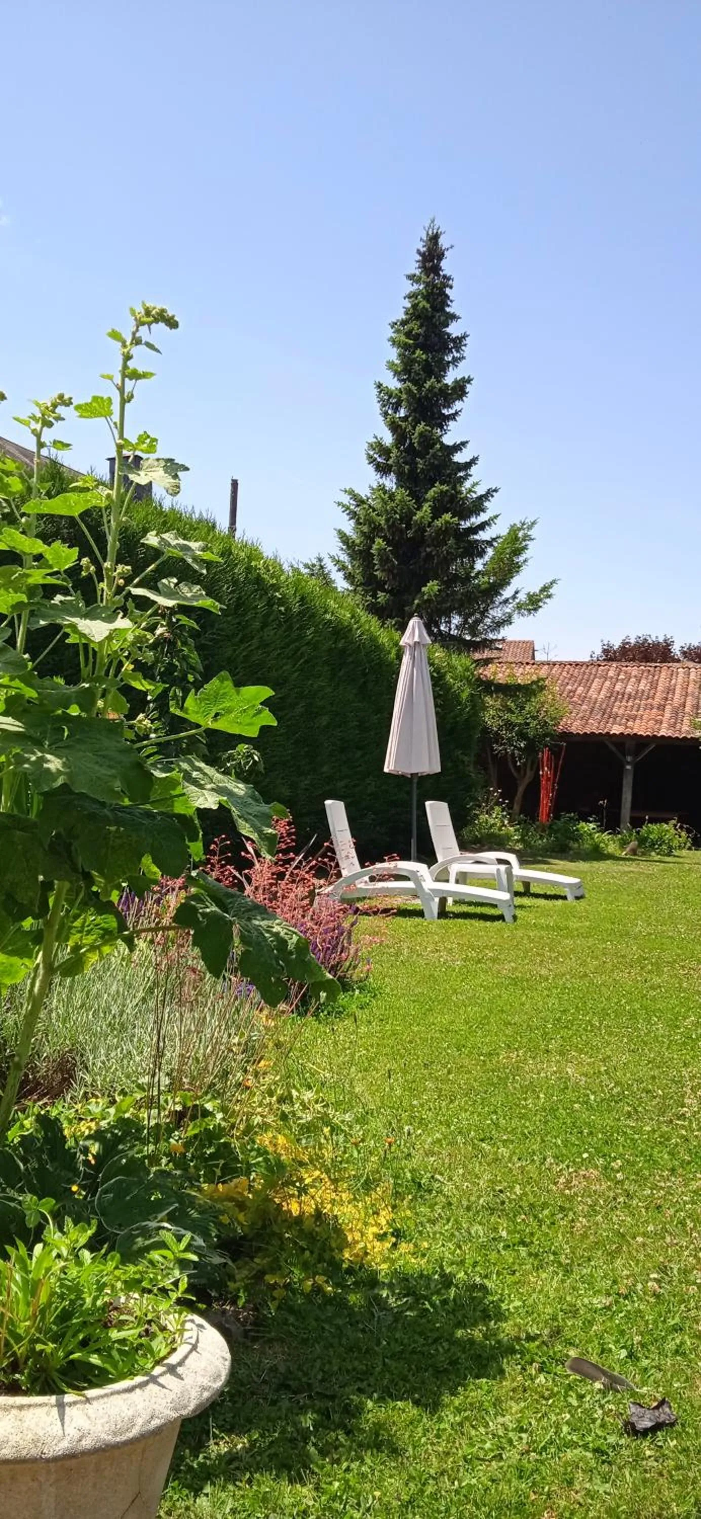 sunbed in Les Clés du Parc