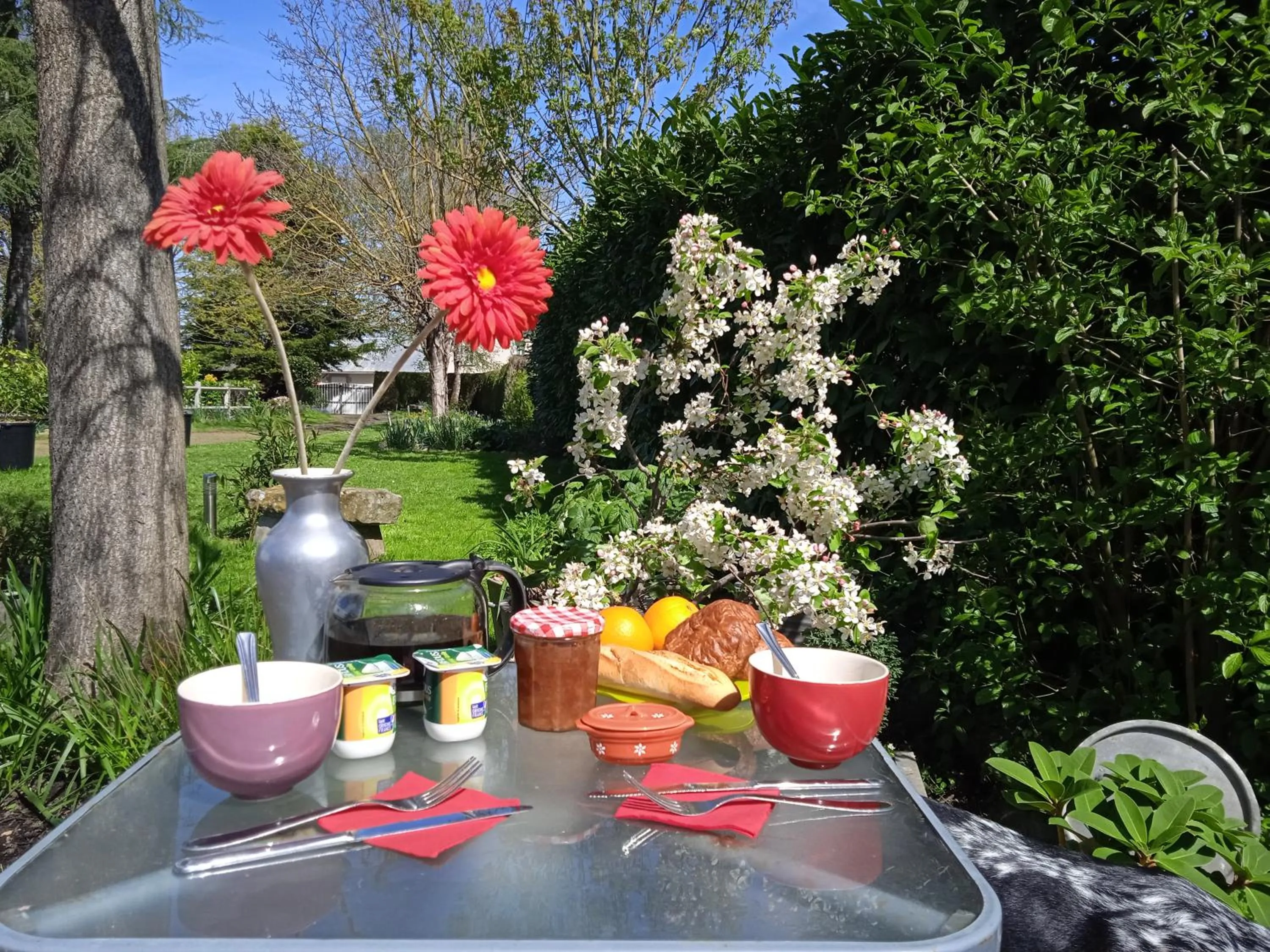 Breakfast in Les Clés du Parc