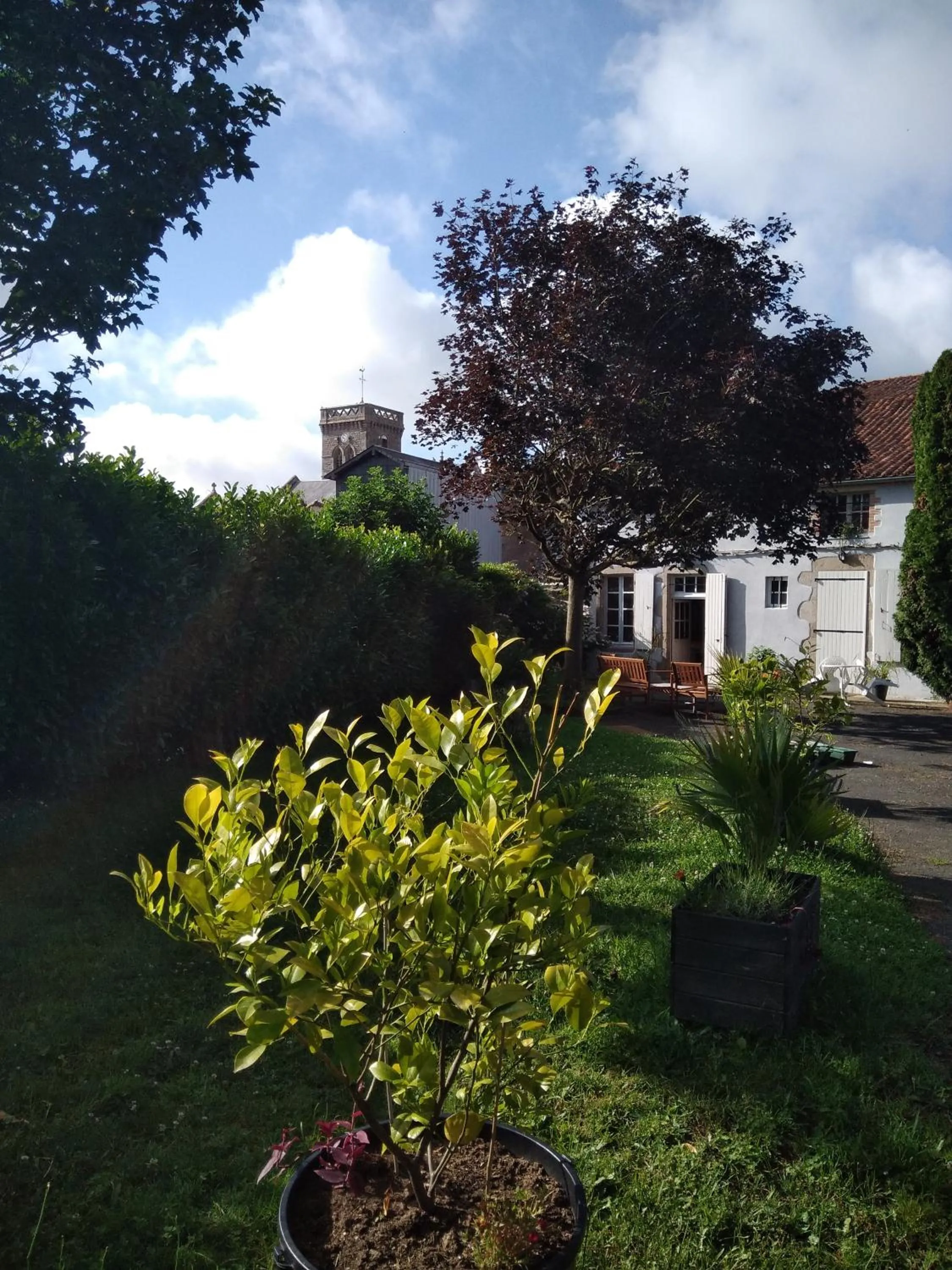 Garden in Les Clés du Parc