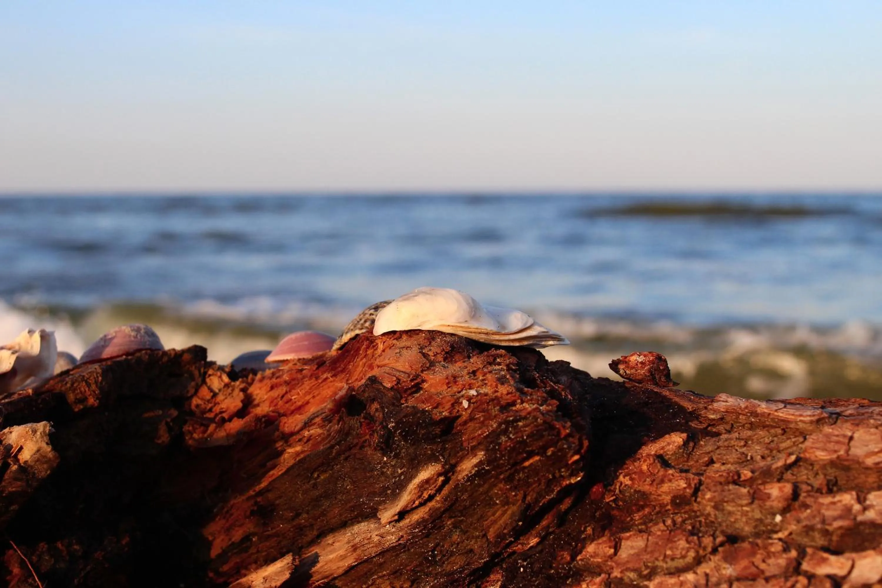 Natural landscape in Hotel Condor