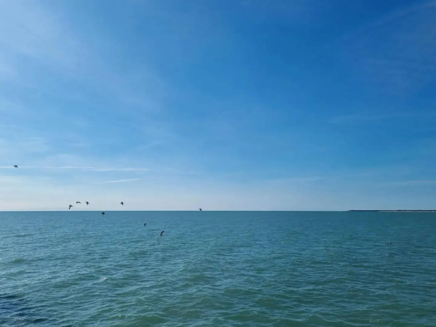 Beach in Appart-Hotel Holiday