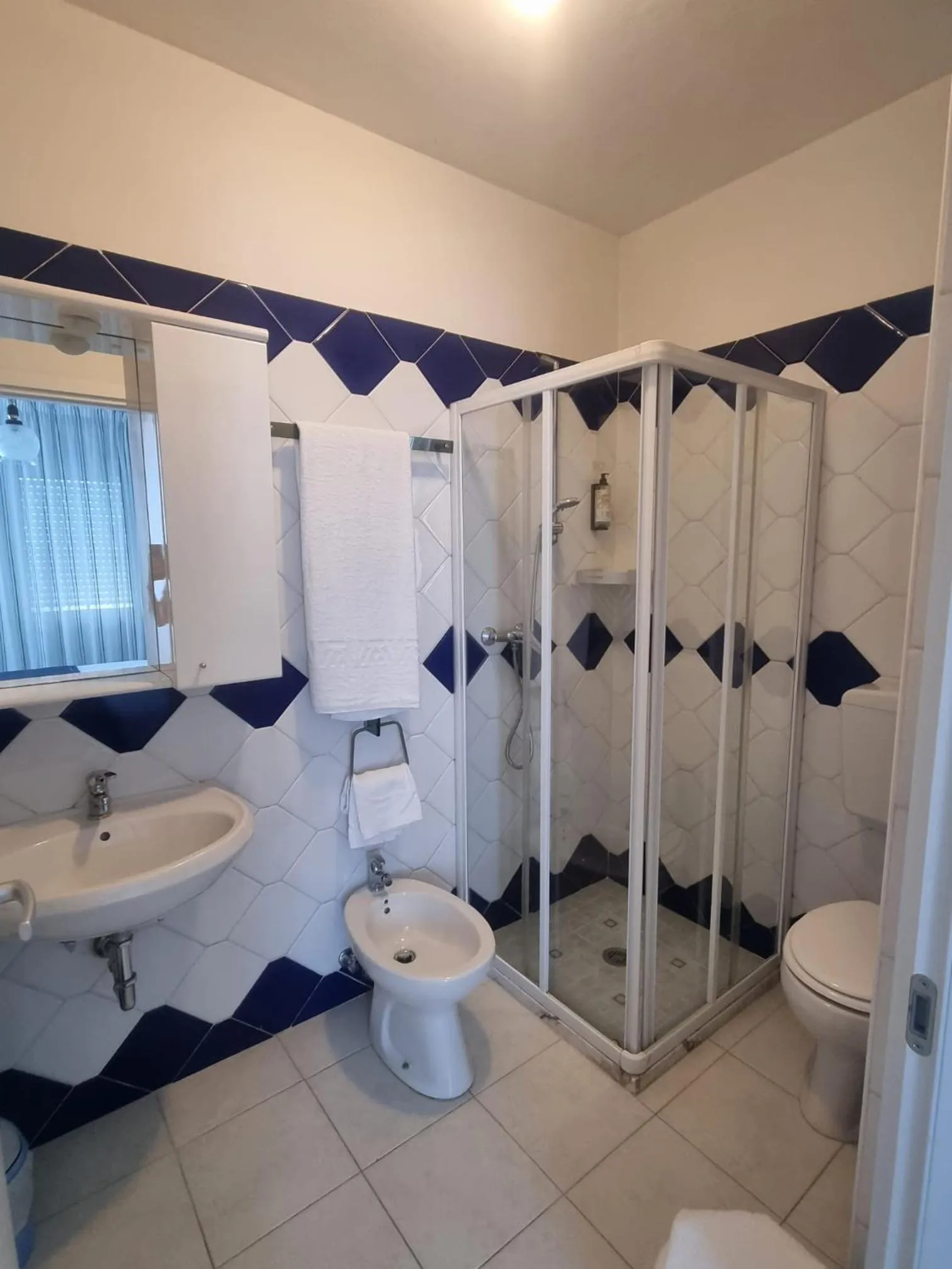 Shower in Appart-Hotel Holiday