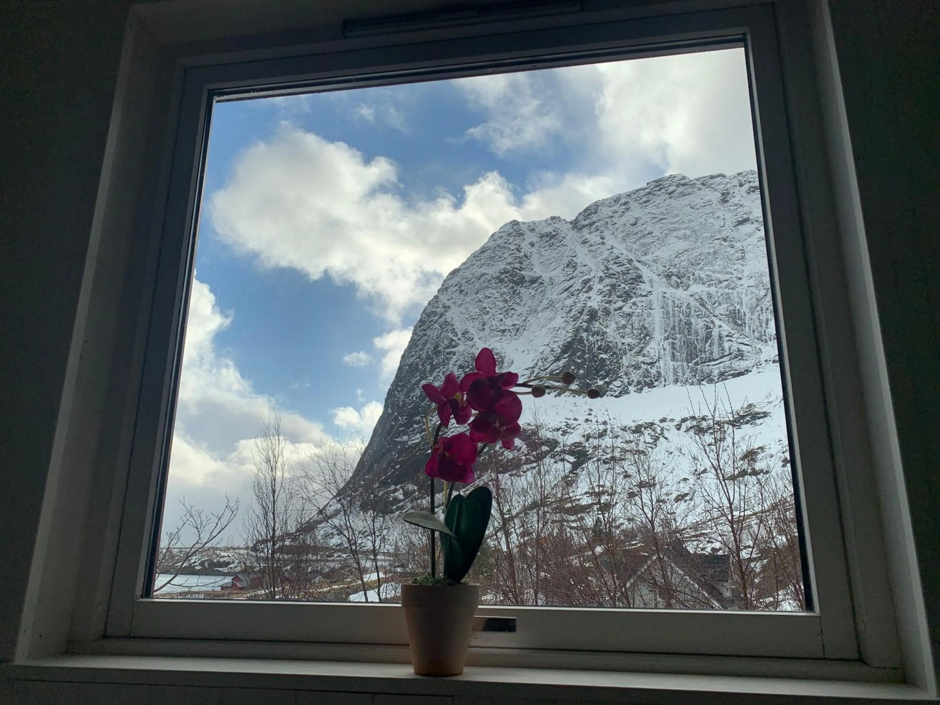 Apartments Reine Lofoten