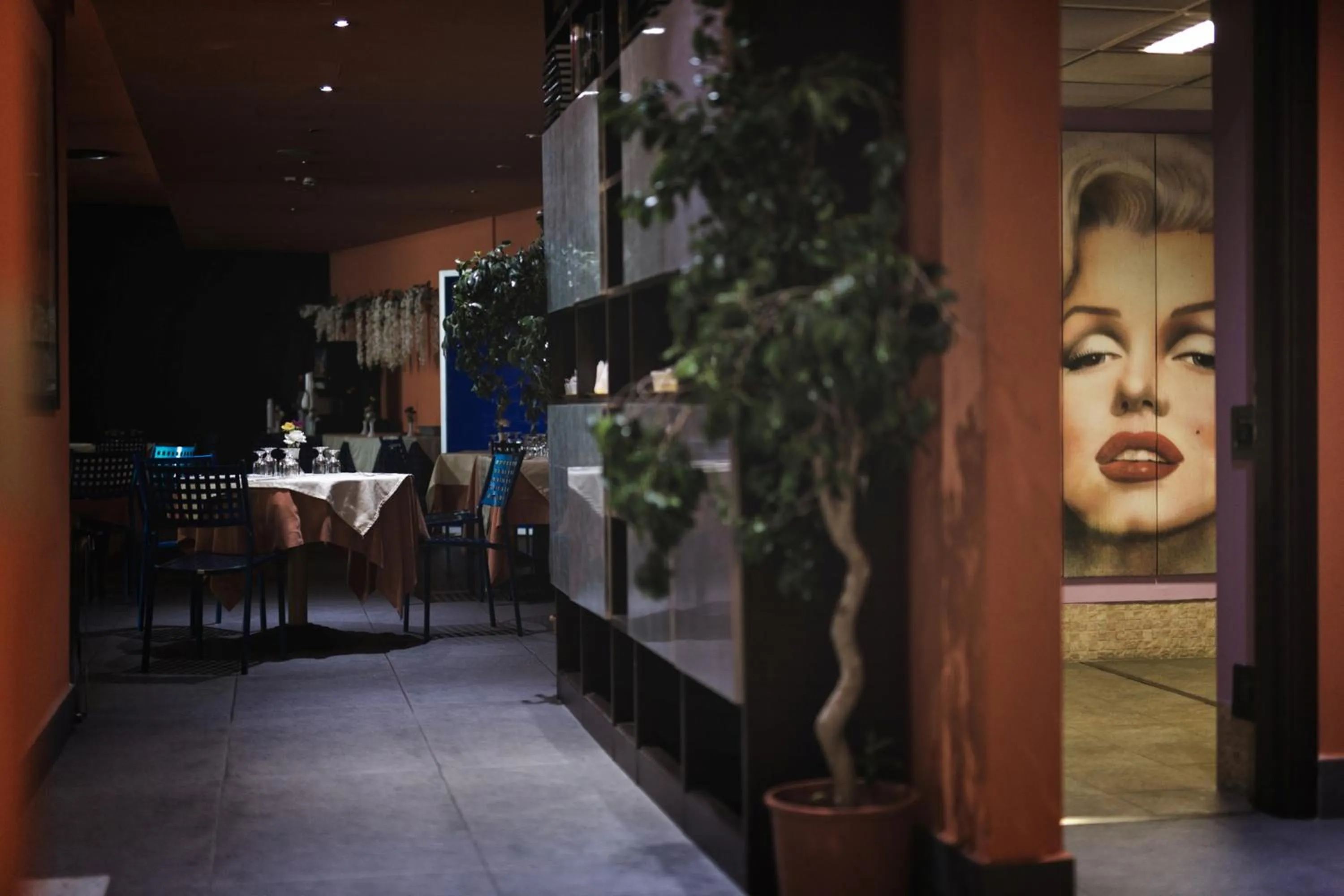 Restaurant/places to eat in Albergo Athenaeum