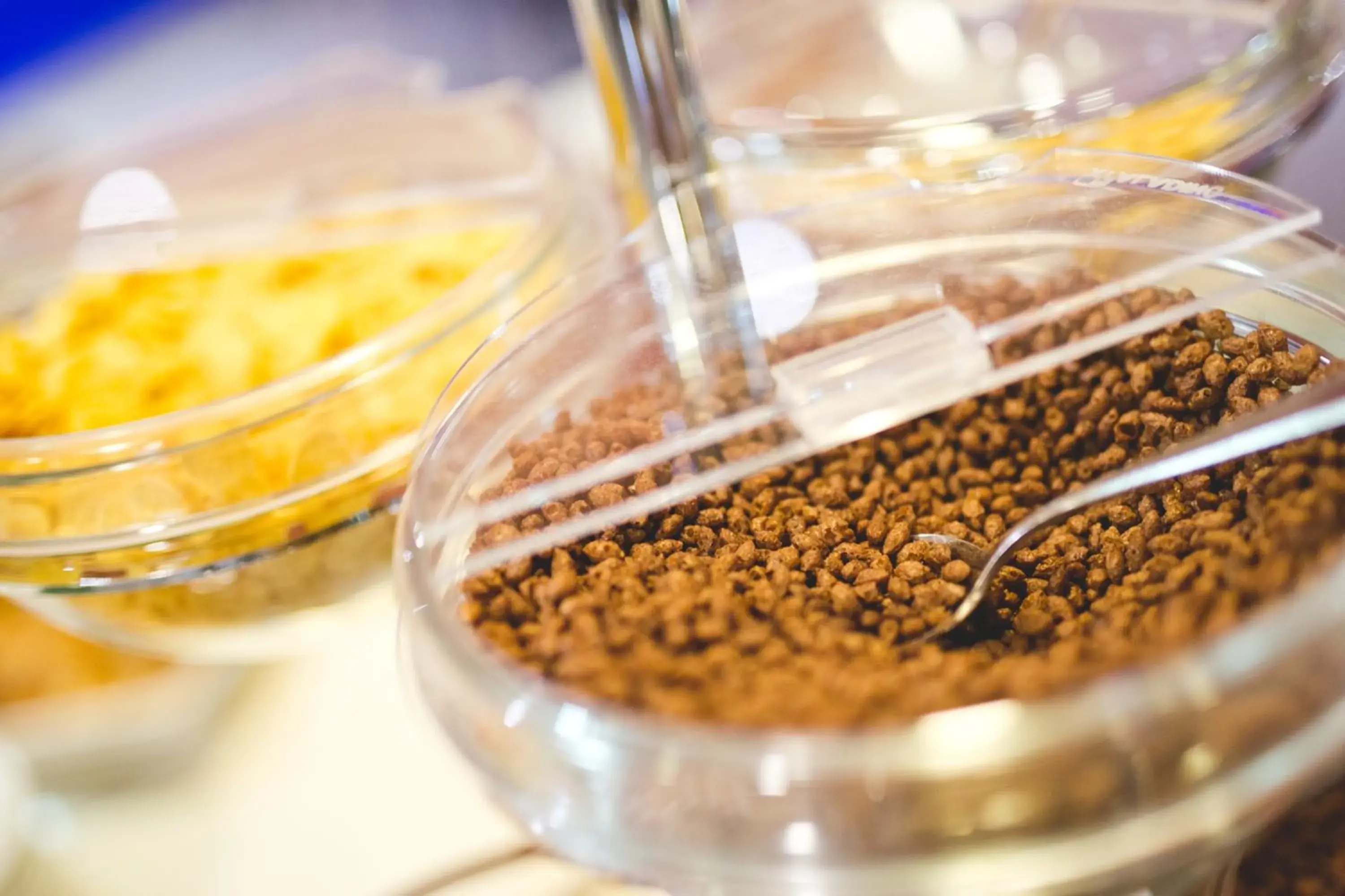 Restaurant/places to eat in Albergo Athenaeum Restaurant/places to eat in Albergo Athenaeum